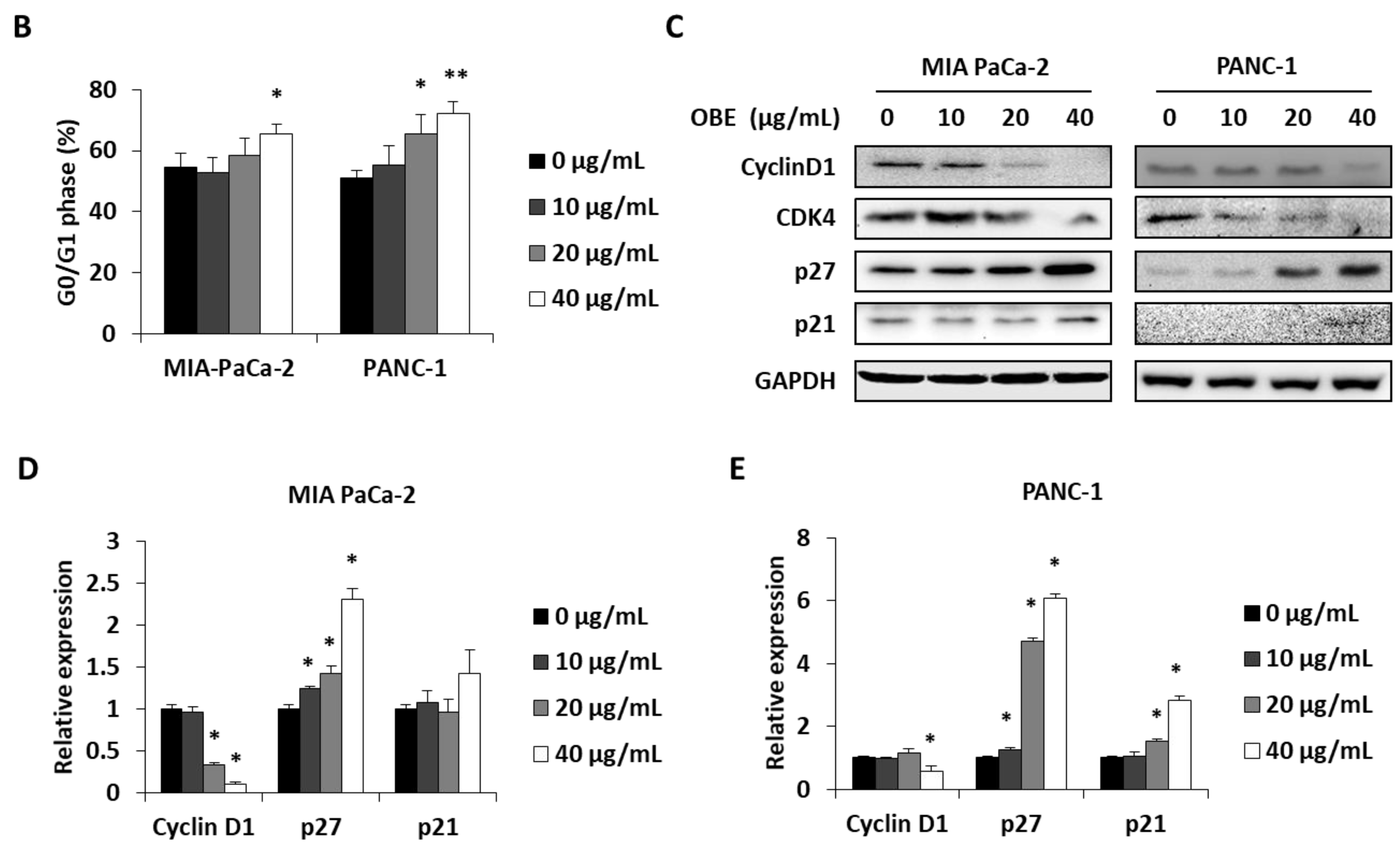 Molecules 24 03829 g002b
