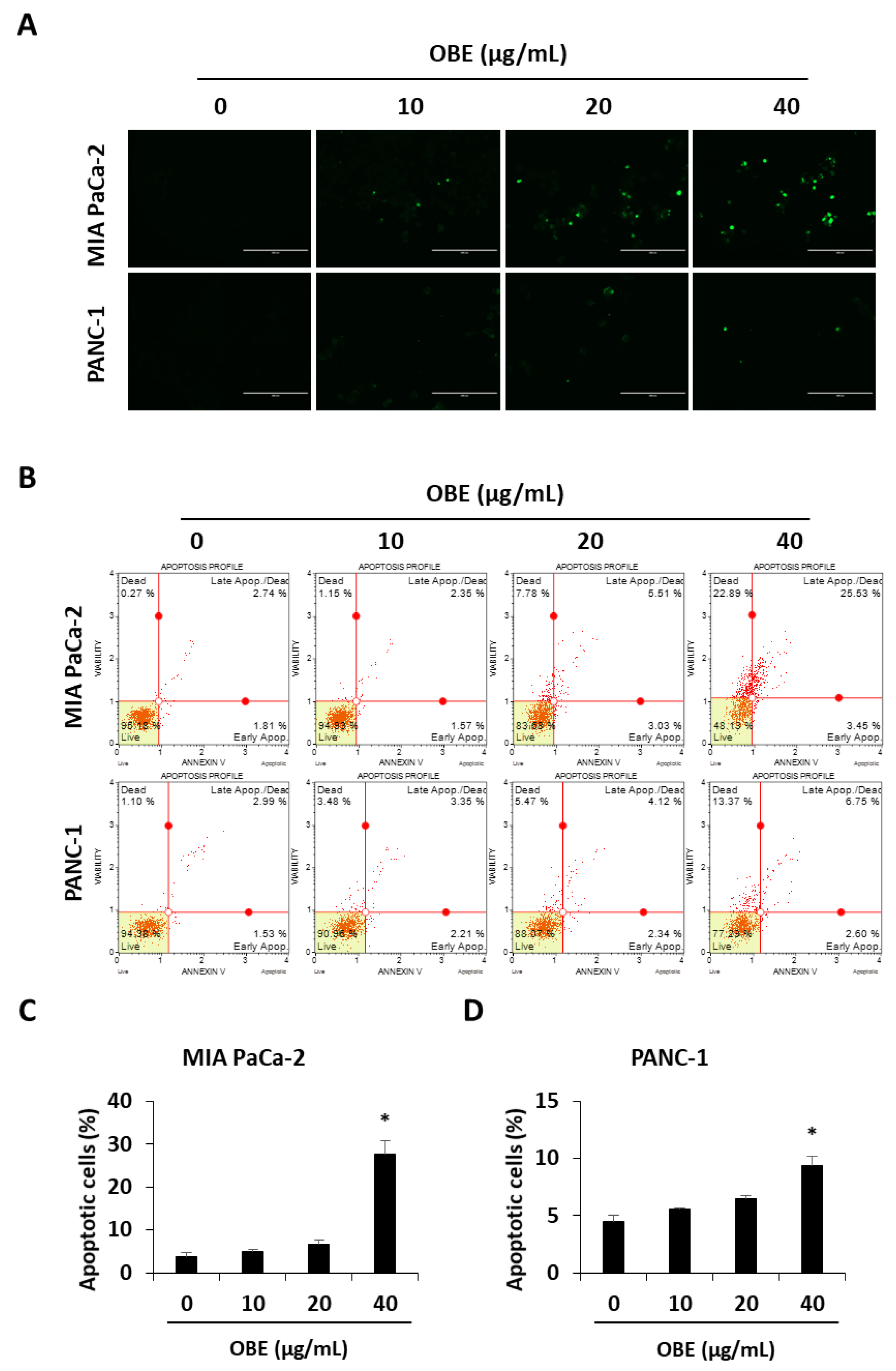 Molecules 24 03829 g003