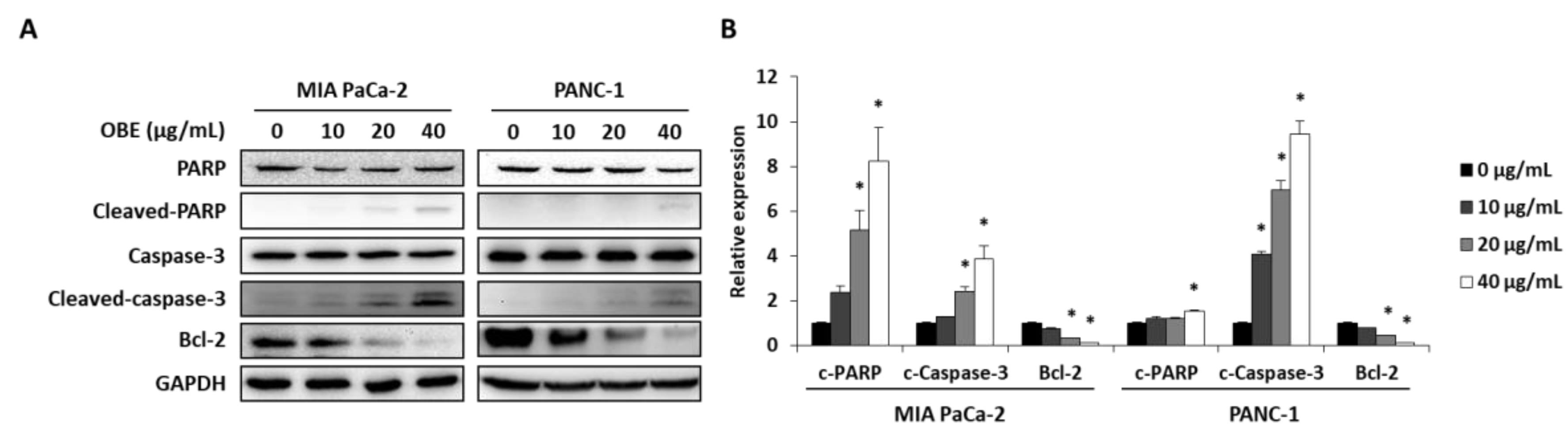 Molecules 24 03829 g004a