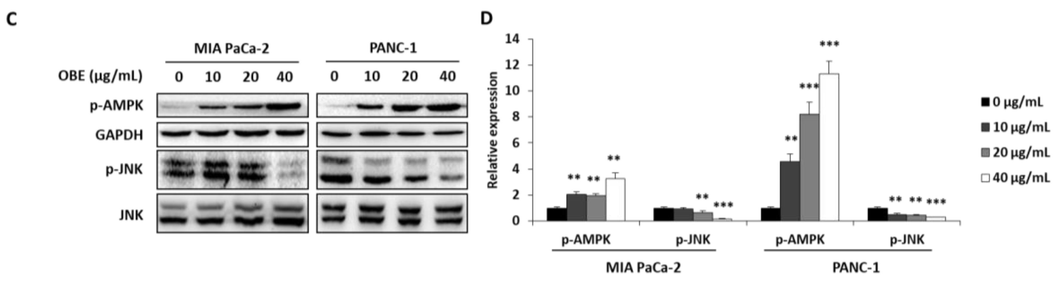 Molecules 24 03829 g004b