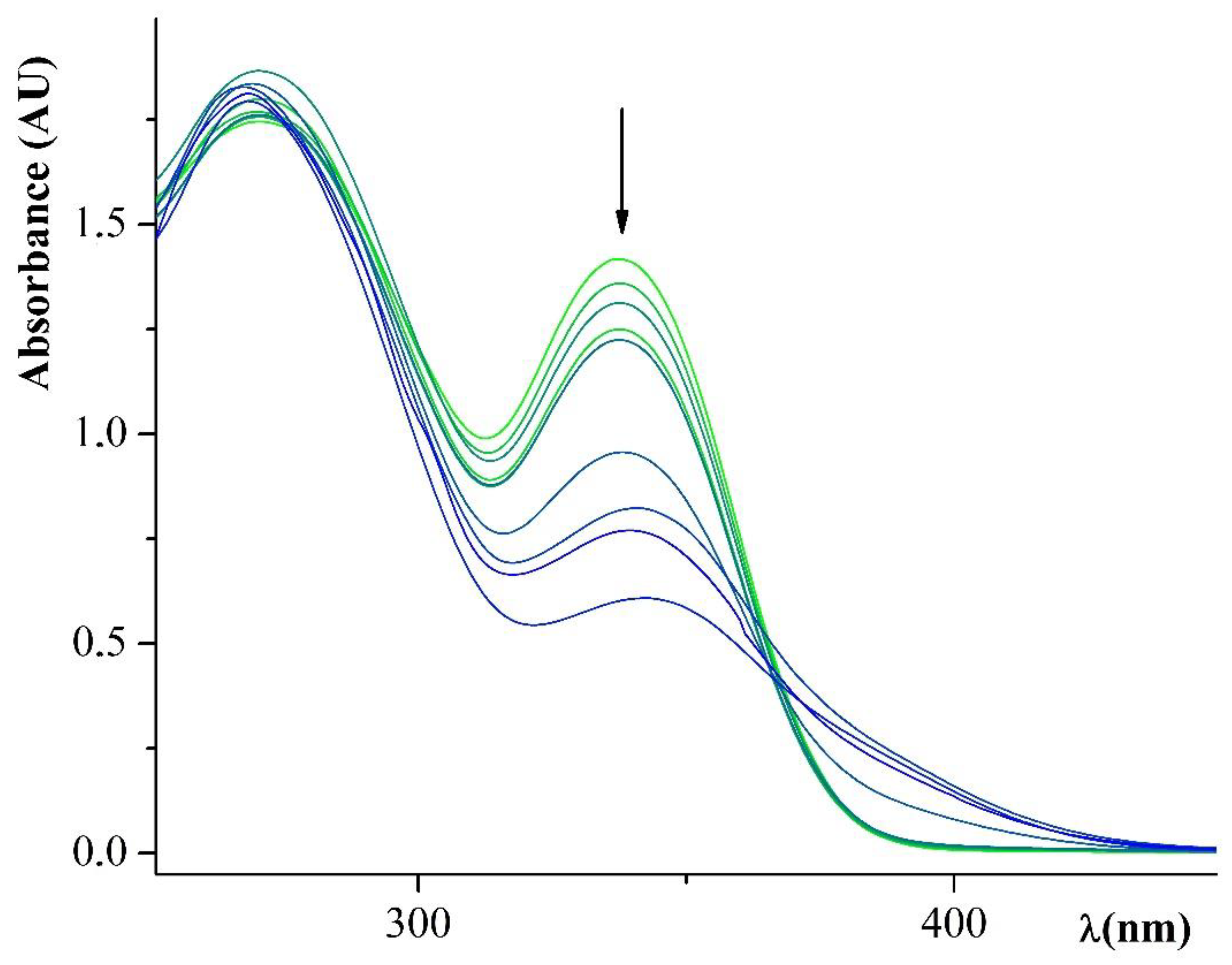 Molecules 24 03833 g002