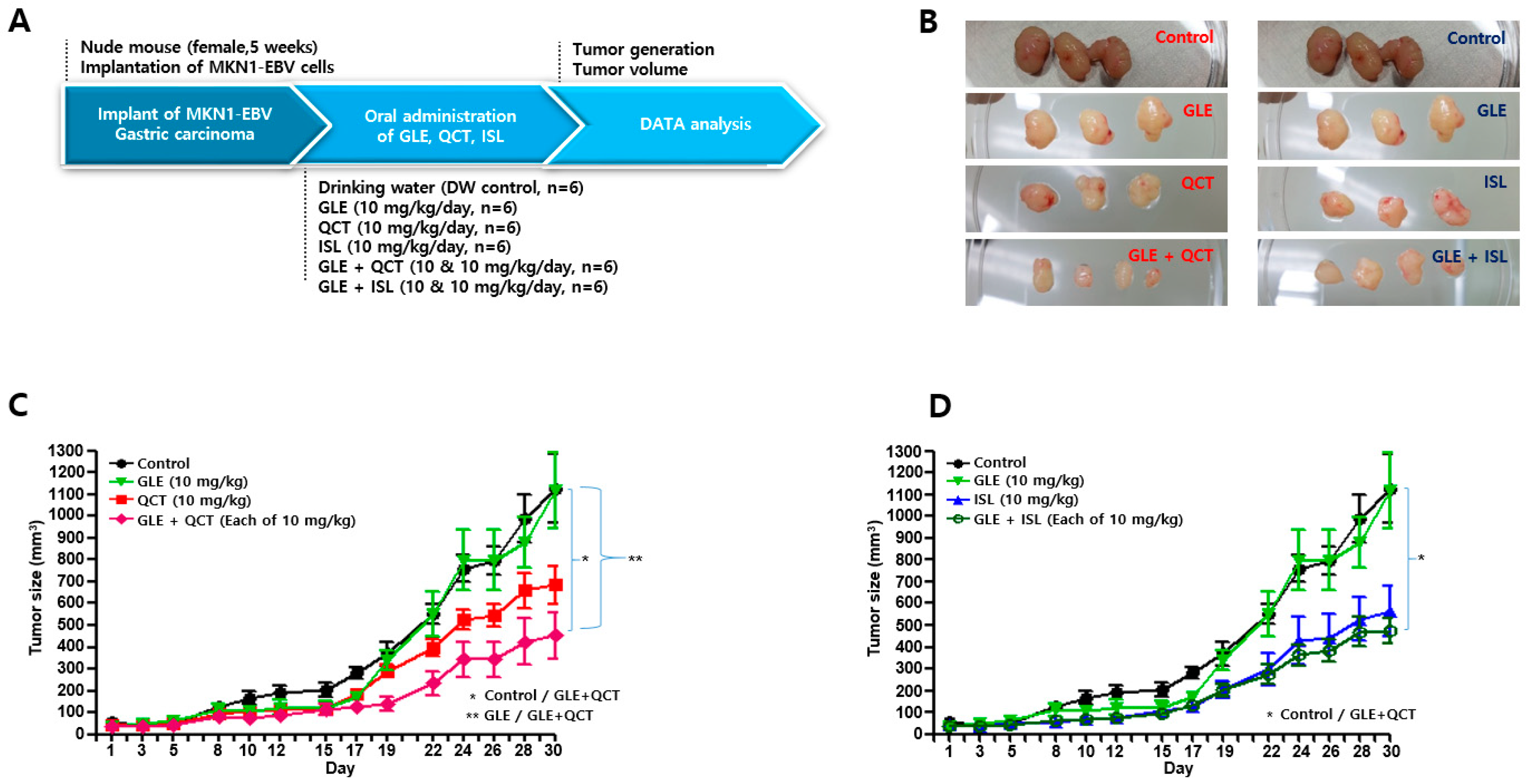 Molecules 24 03834 g003