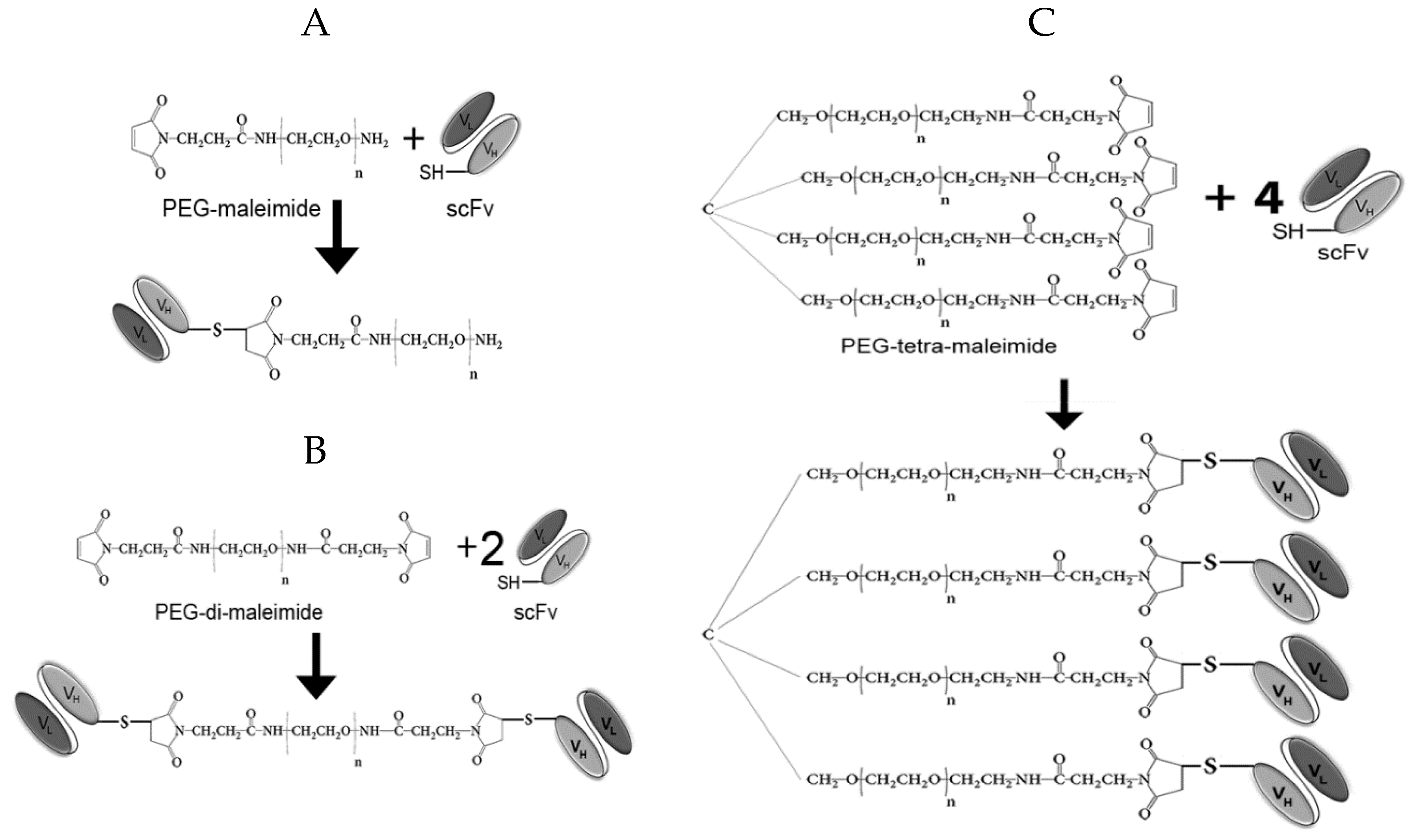 Molecules 24 03835 g002