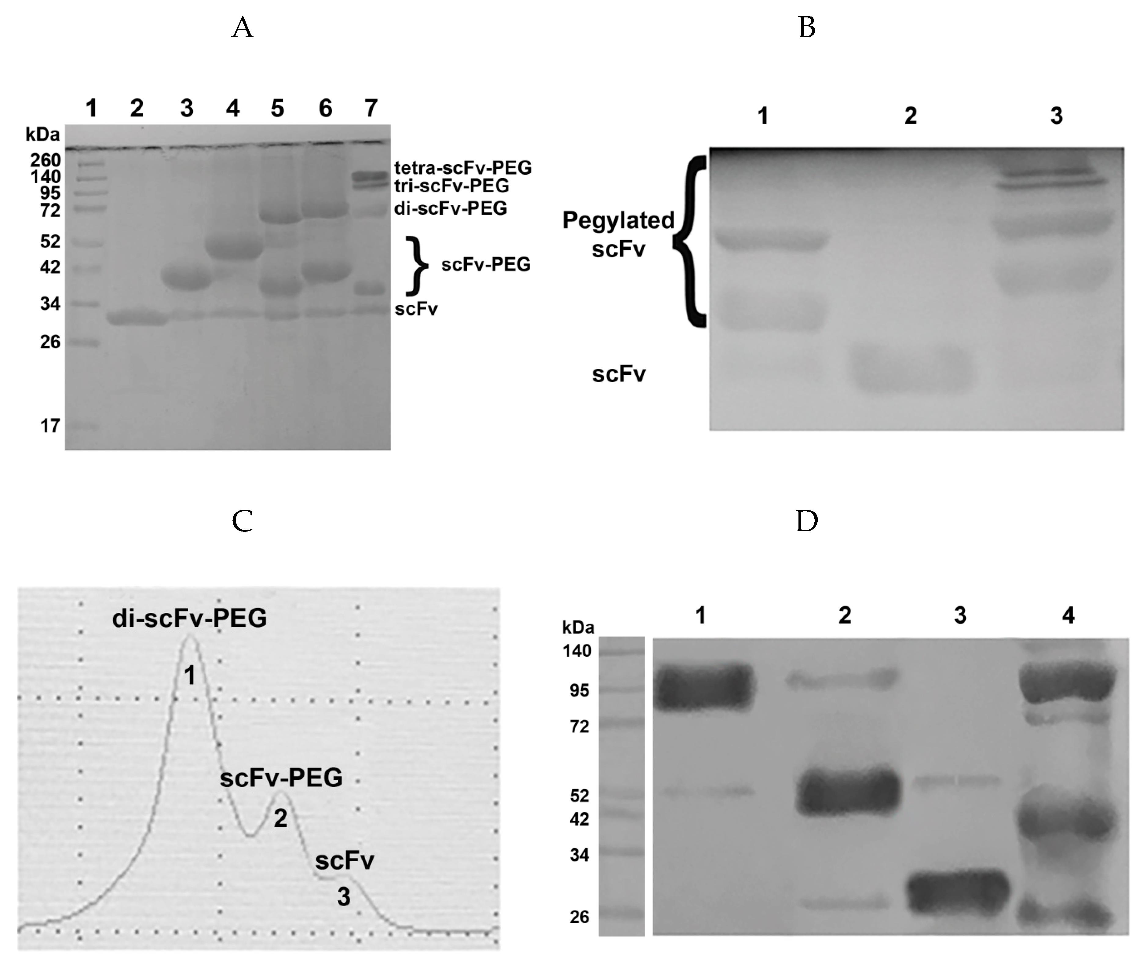 Molecules 24 03835 g003
