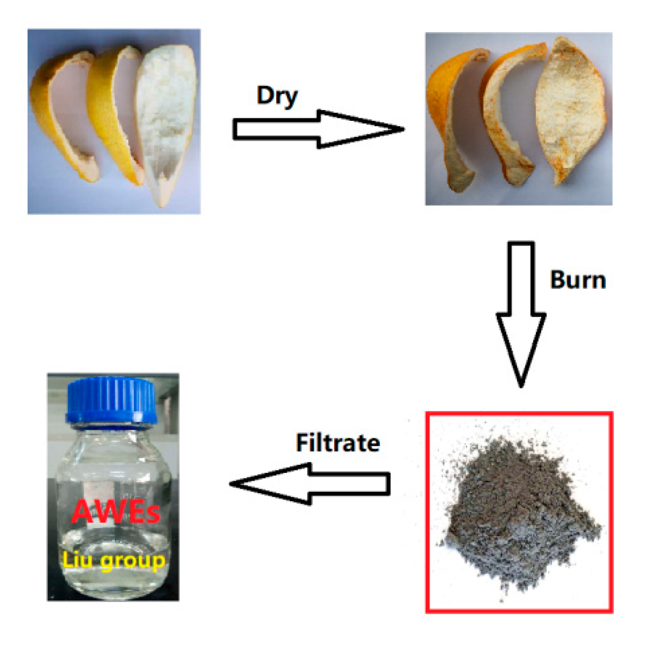 Molecules 24 03838 g001