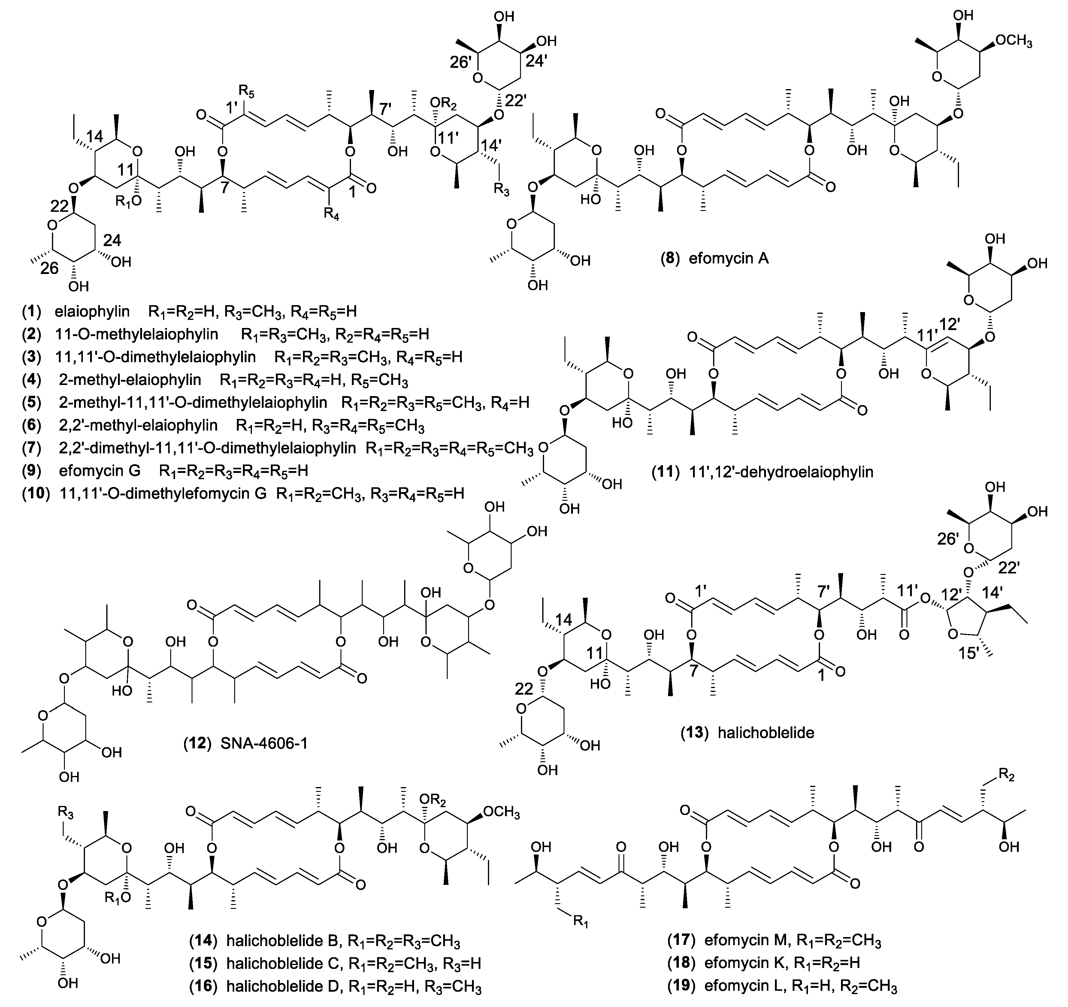 Molecules 24 03840 g001