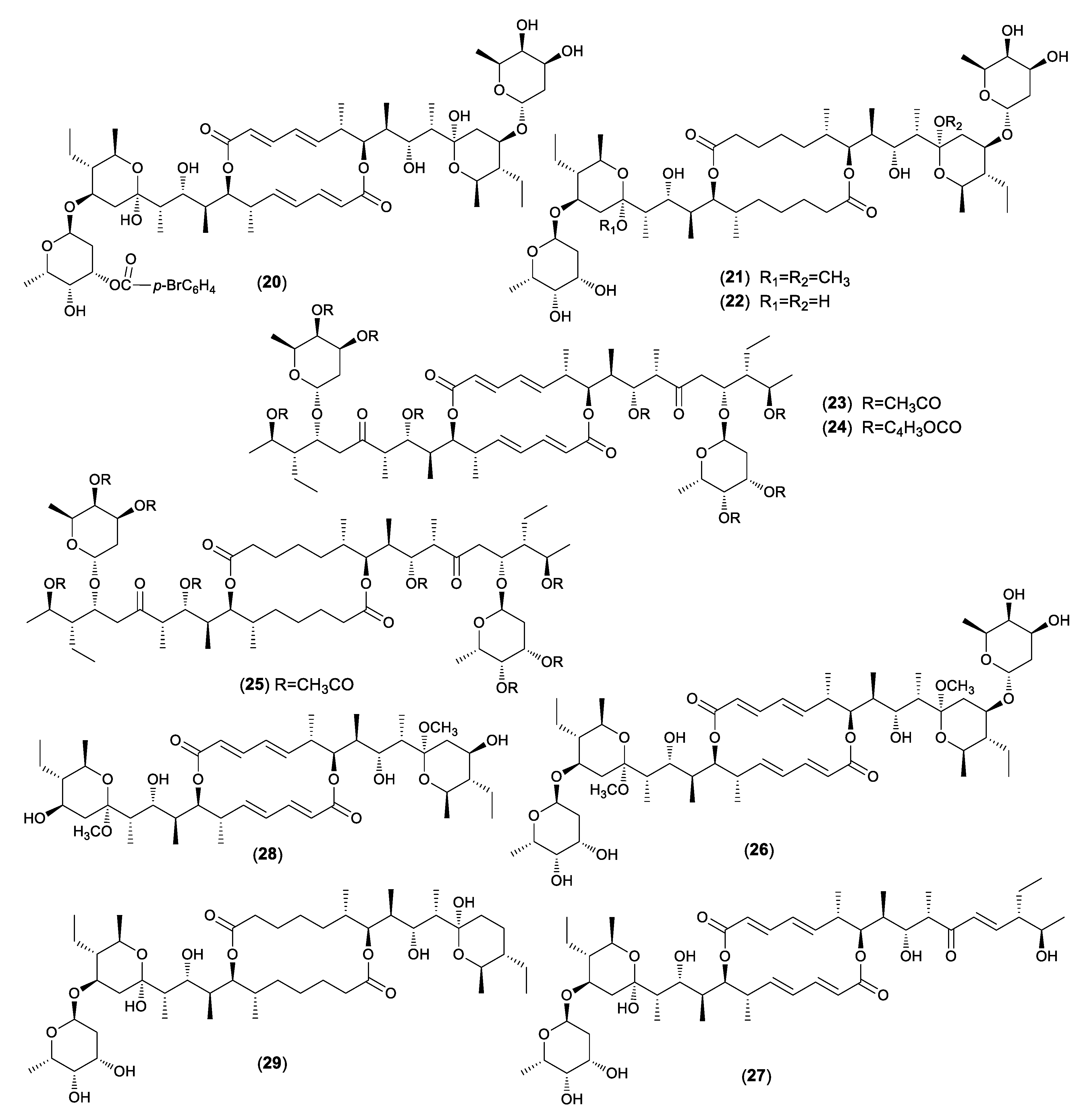 Molecules 24 03840 g002