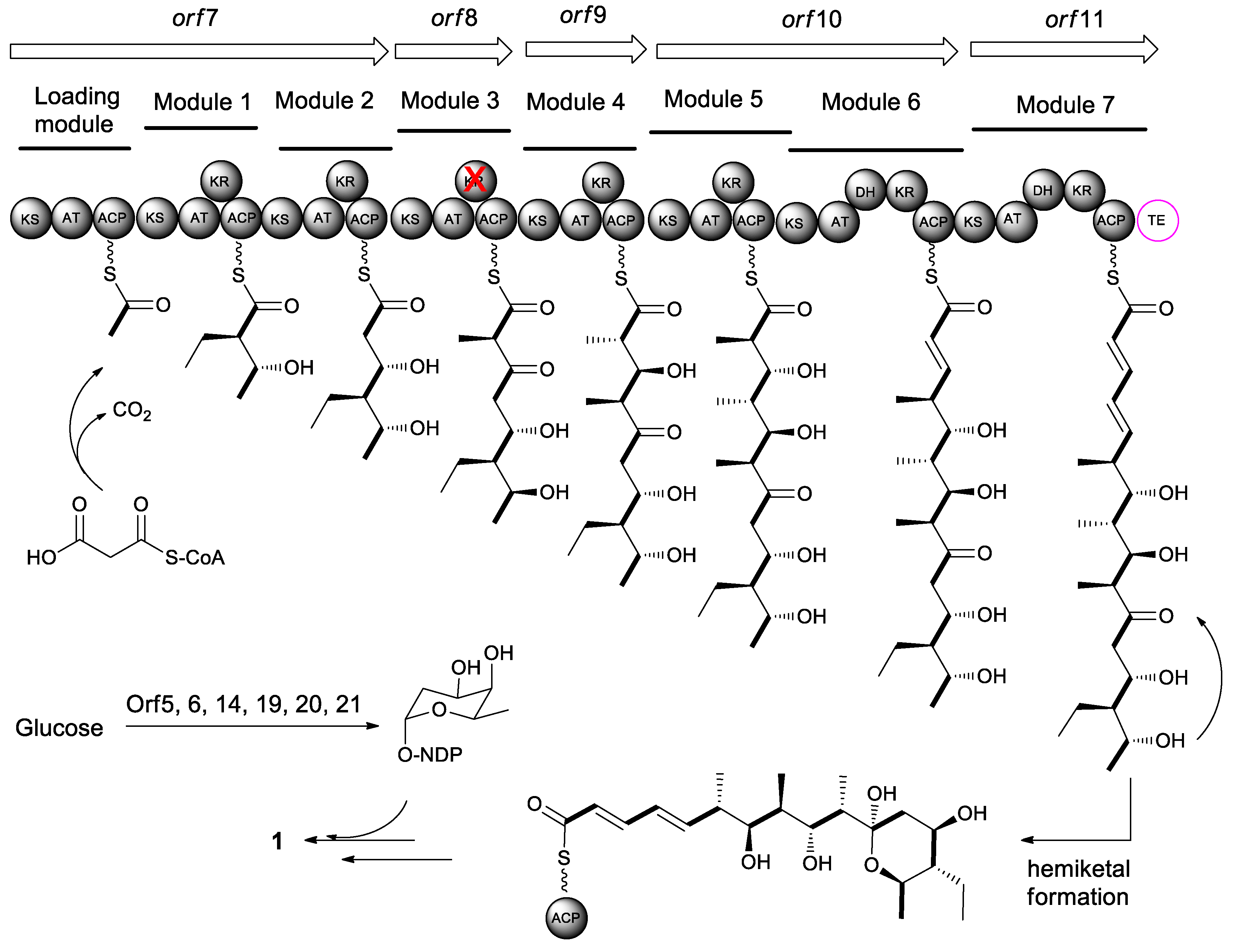 Molecules 24 03840 g003