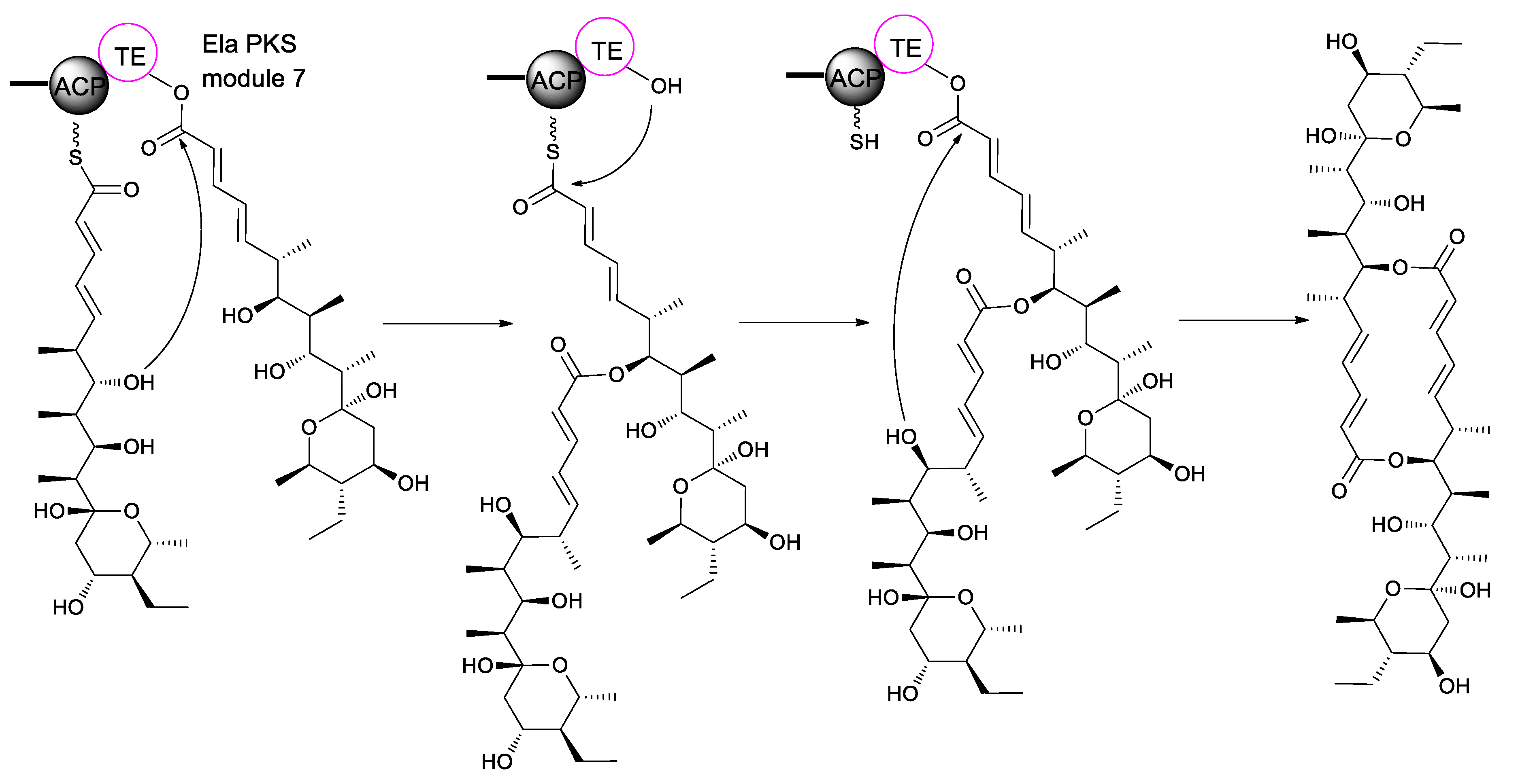 Molecules 24 03840 g004