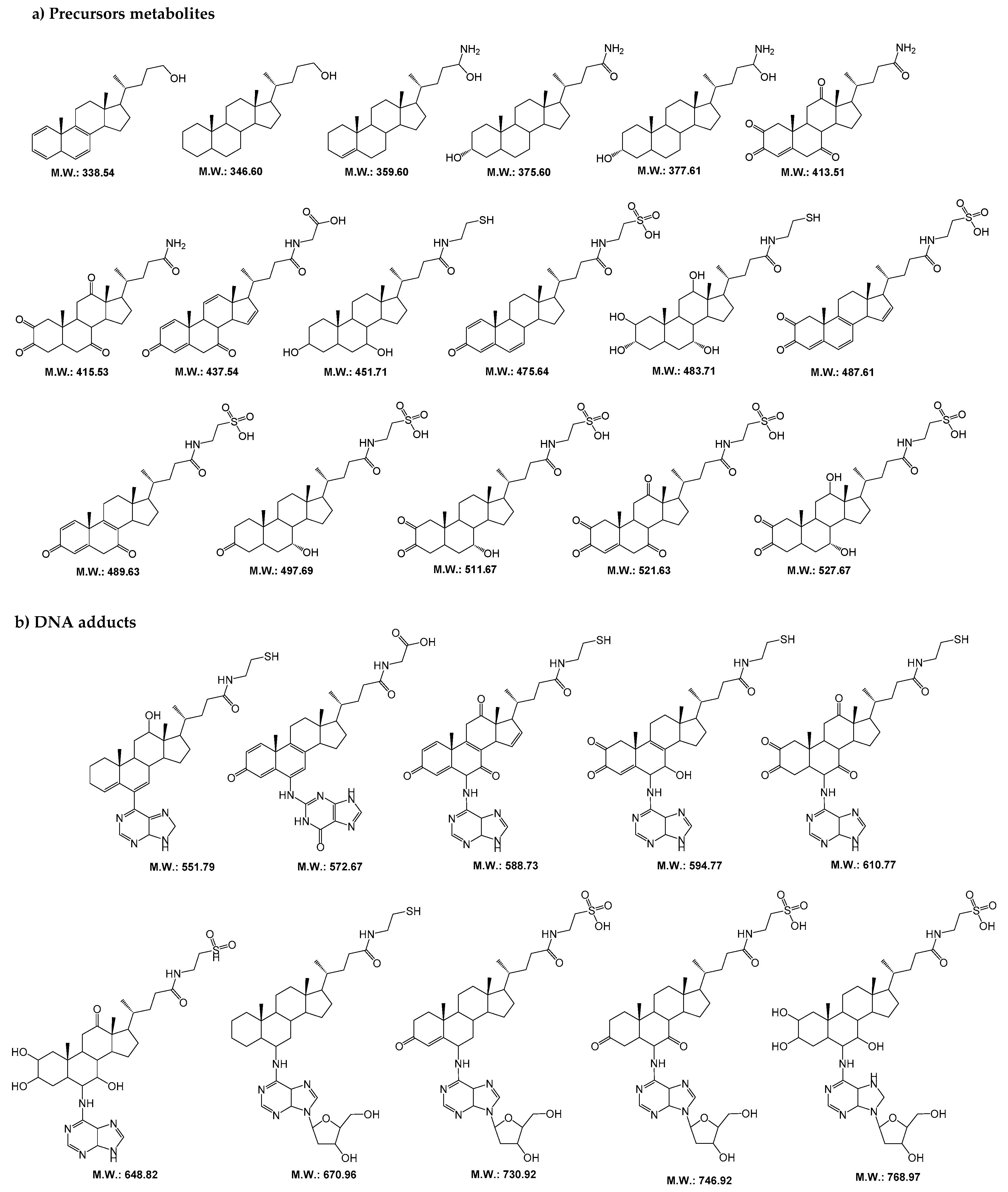 Molecules 24 03842 g001