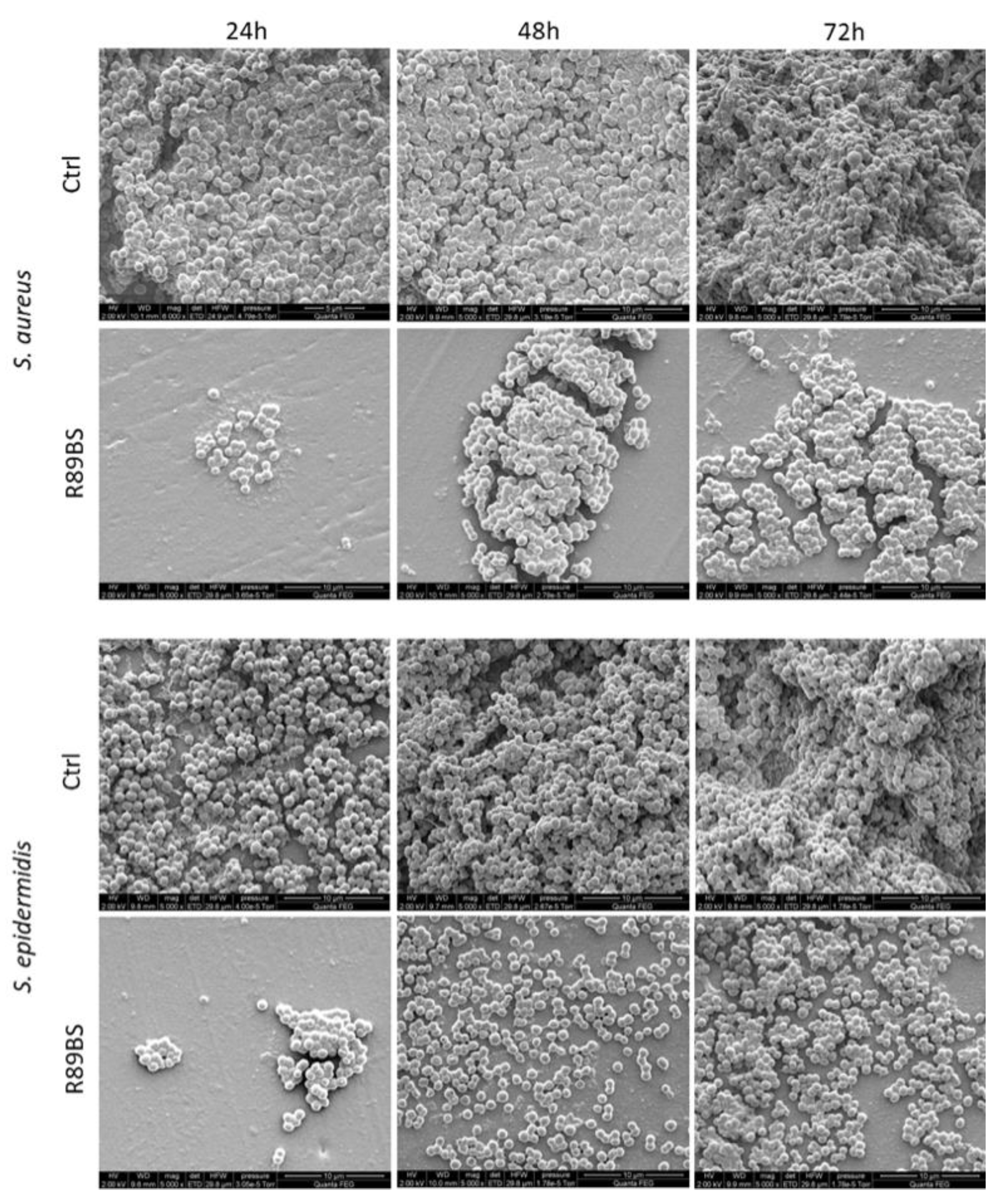 Molecules 24 03843 g006 Molecules 24 03843 g006