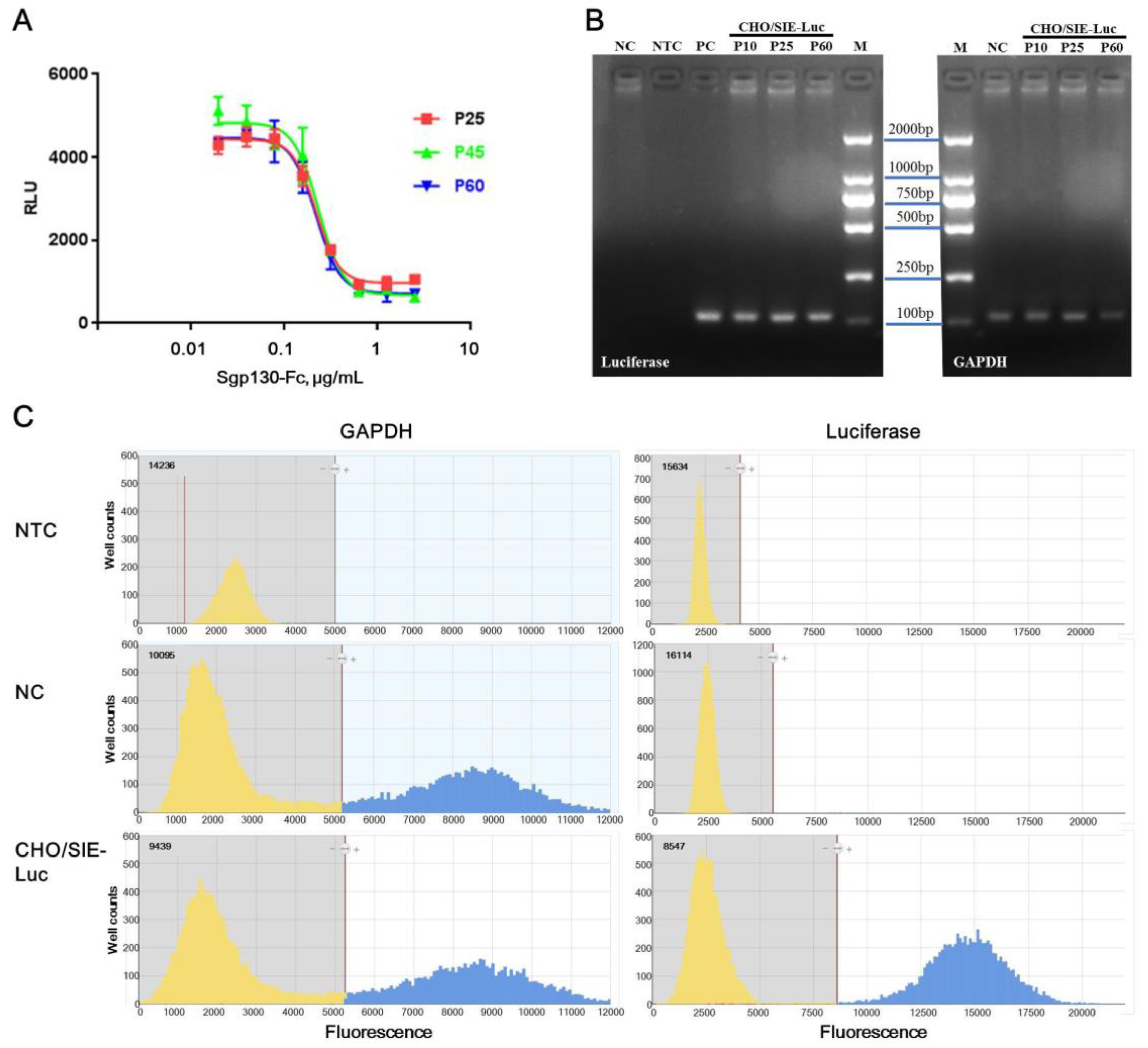 Molecules 24 03845 g004 Molecules 24 03845 g004