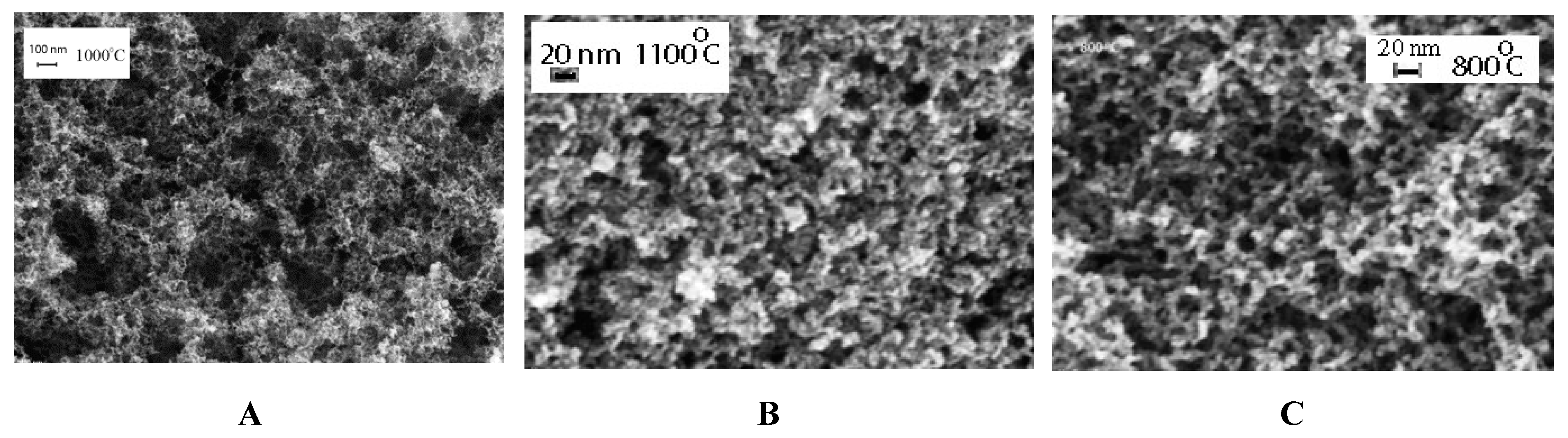 Molecules 24 03847 g003