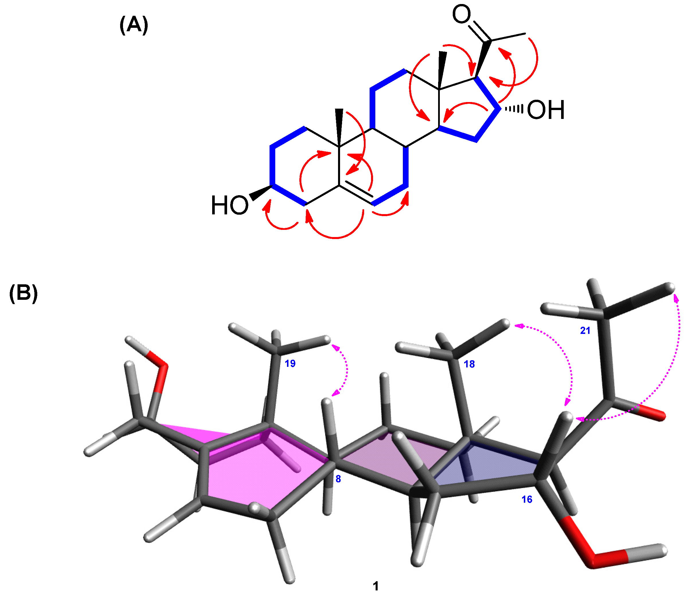 Molecules 24 03848 g002 Molecules 24 03848 g002