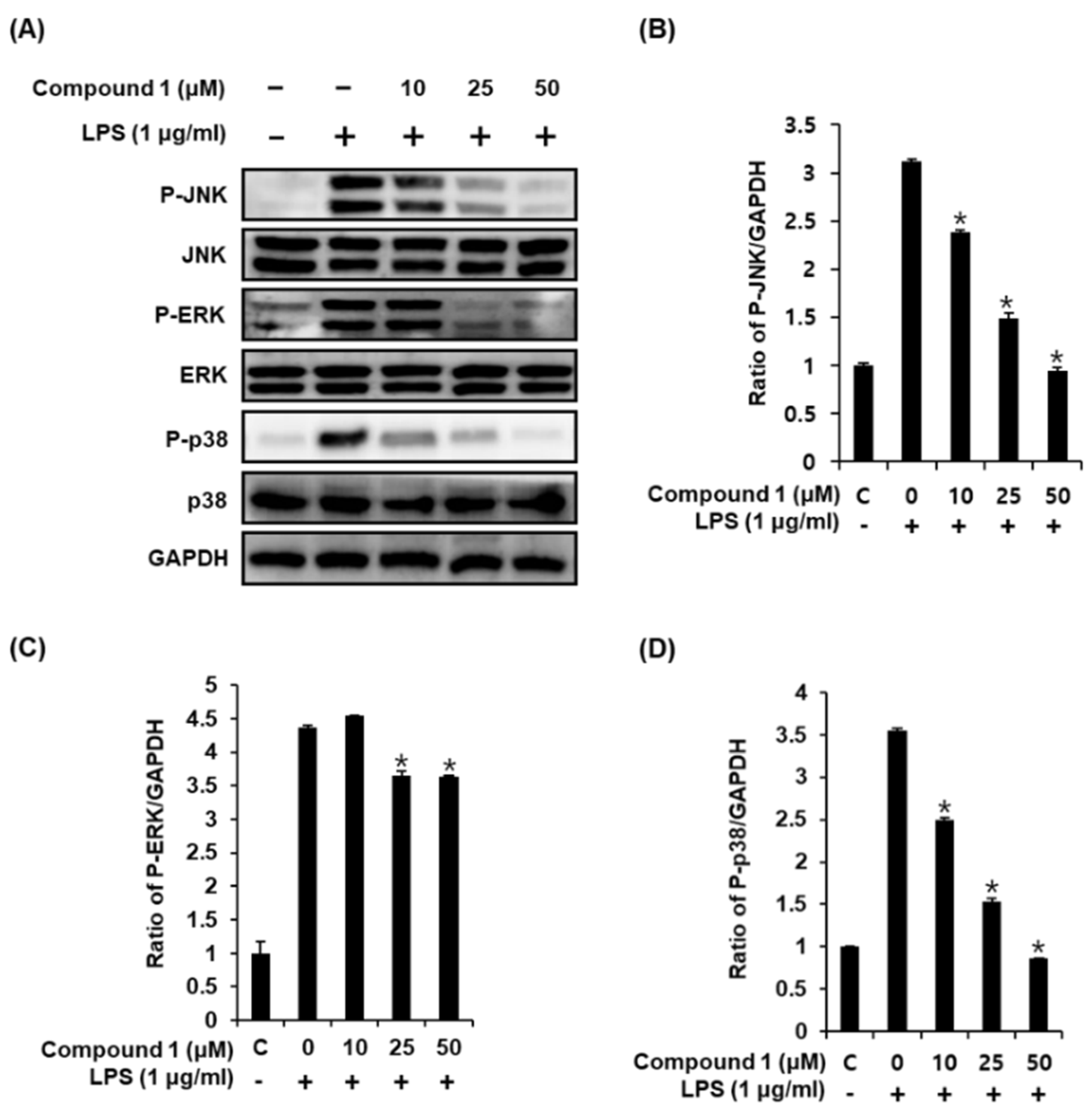 Molecules 24 03848 g004 Molecules 24 03848 g004