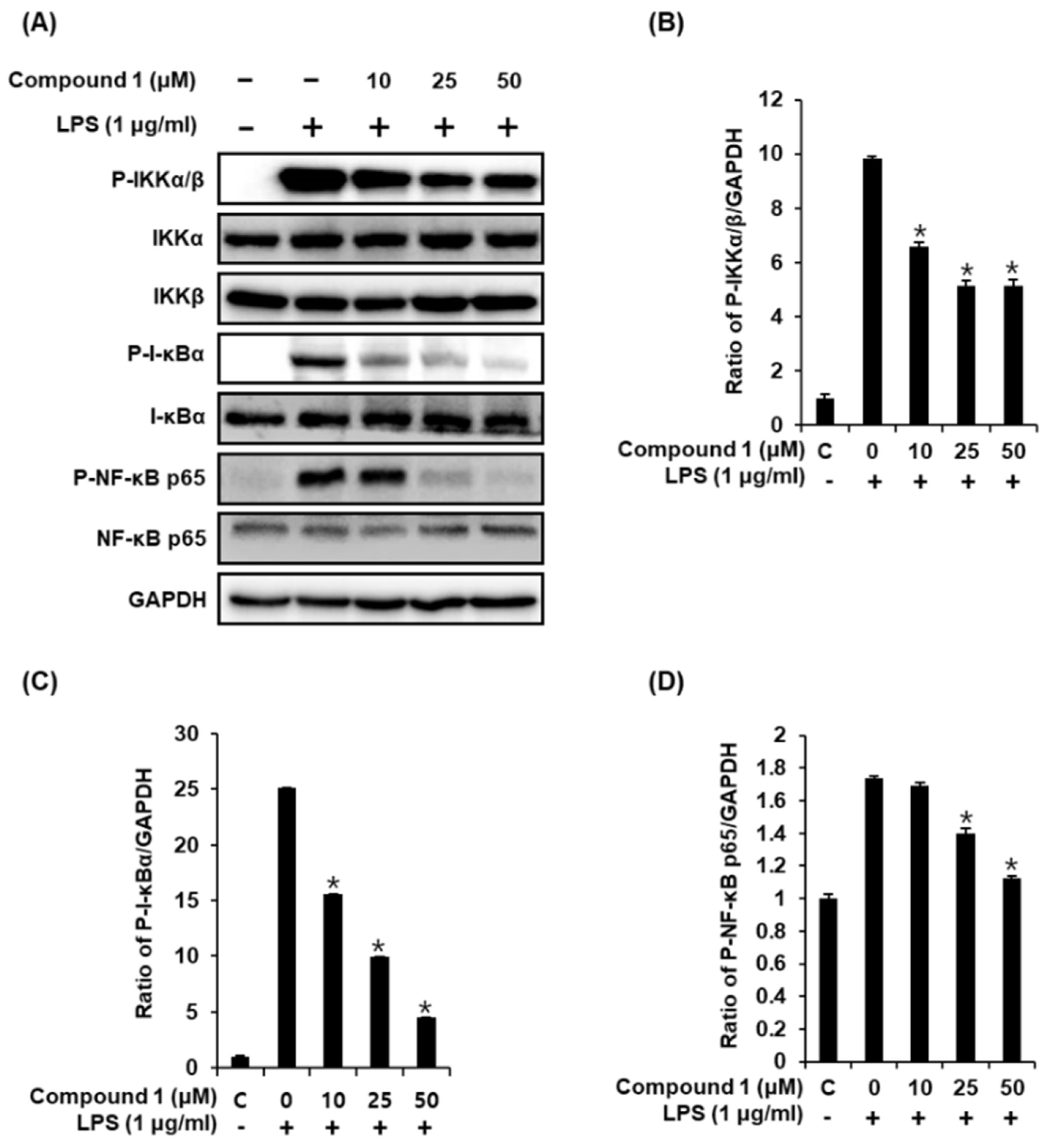 Molecules 24 03848 g005 Molecules 24 03848 g005