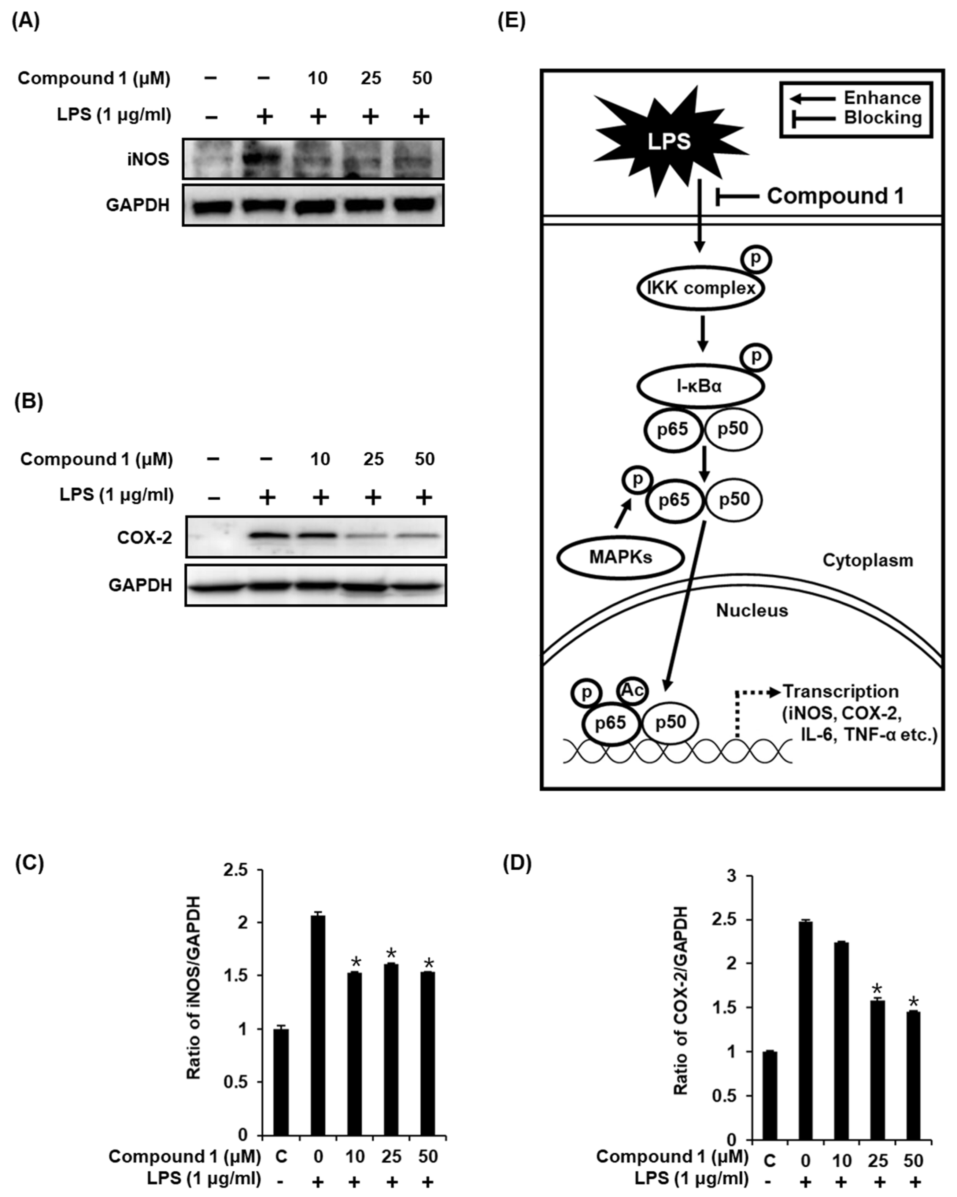 Molecules 24 03848 g006 Molecules 24 03848 g006