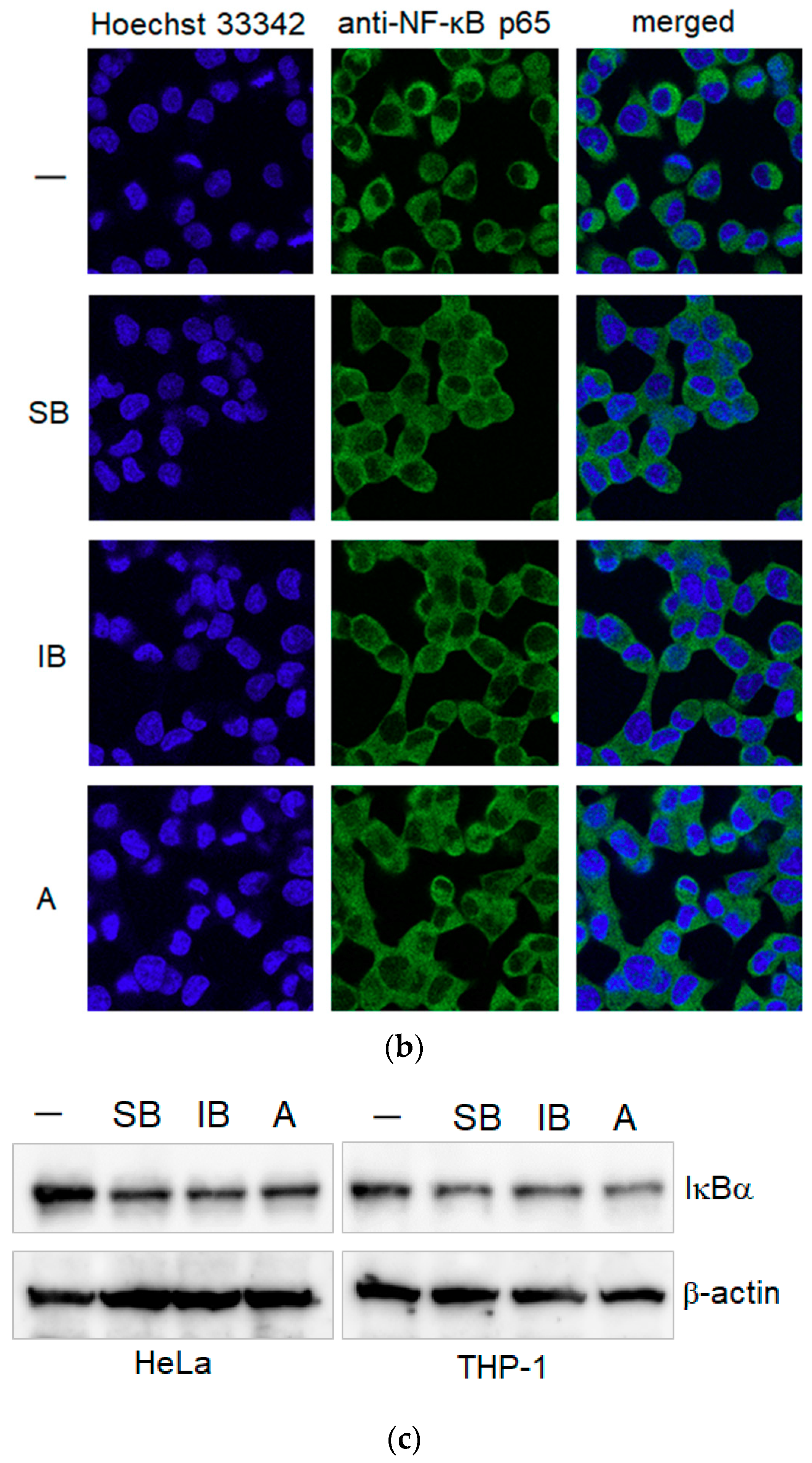 Molecules 24 03850 g003b