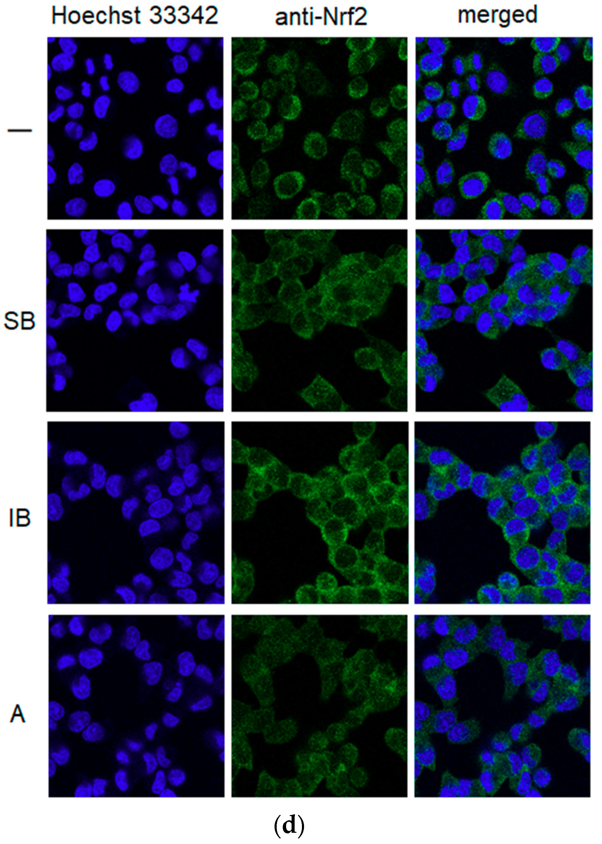 Molecules 24 03850 g003c