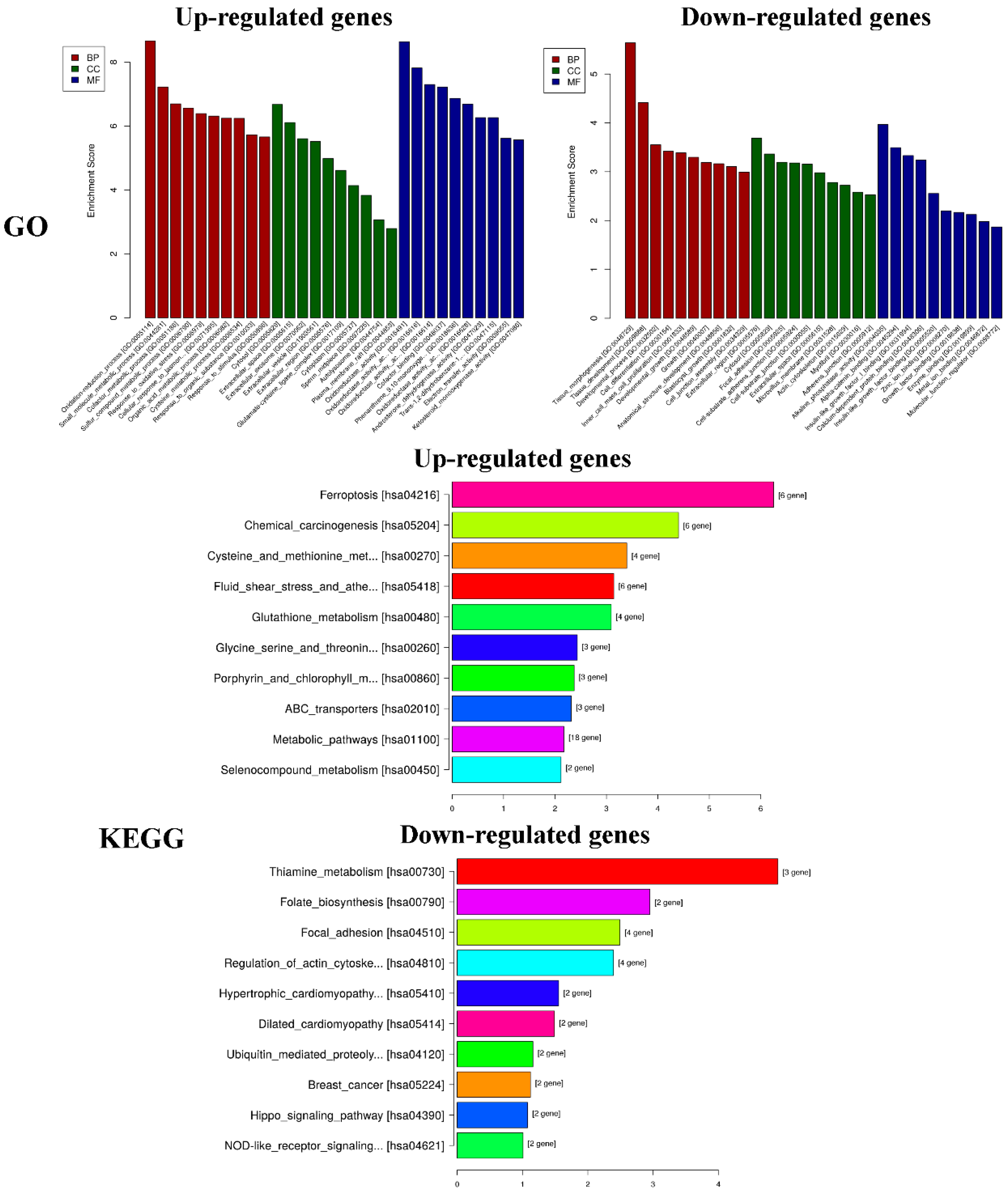 Molecules 24 03851 g009 Molecules 24 03851 g009