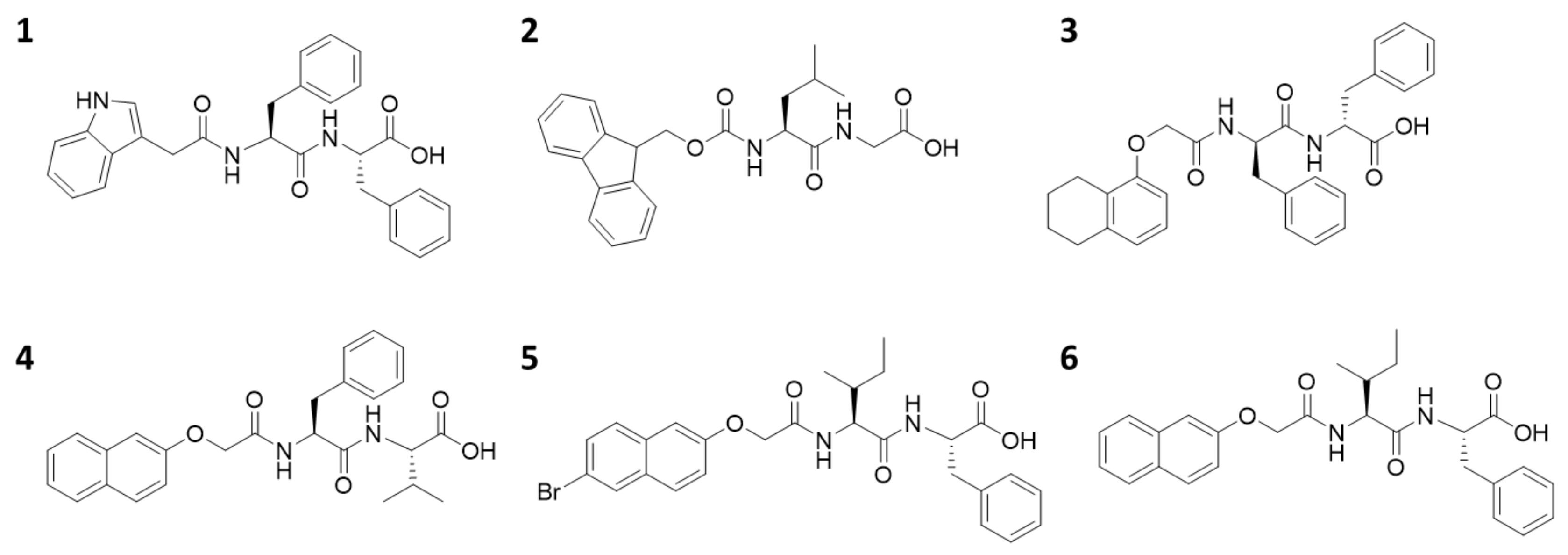 Molecules 24 03855 g001