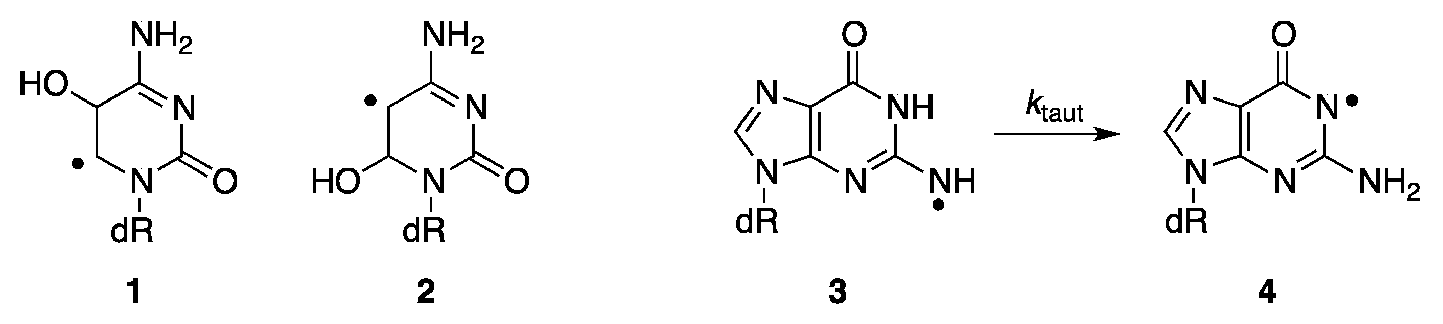 Molecules 24 03860 g003
