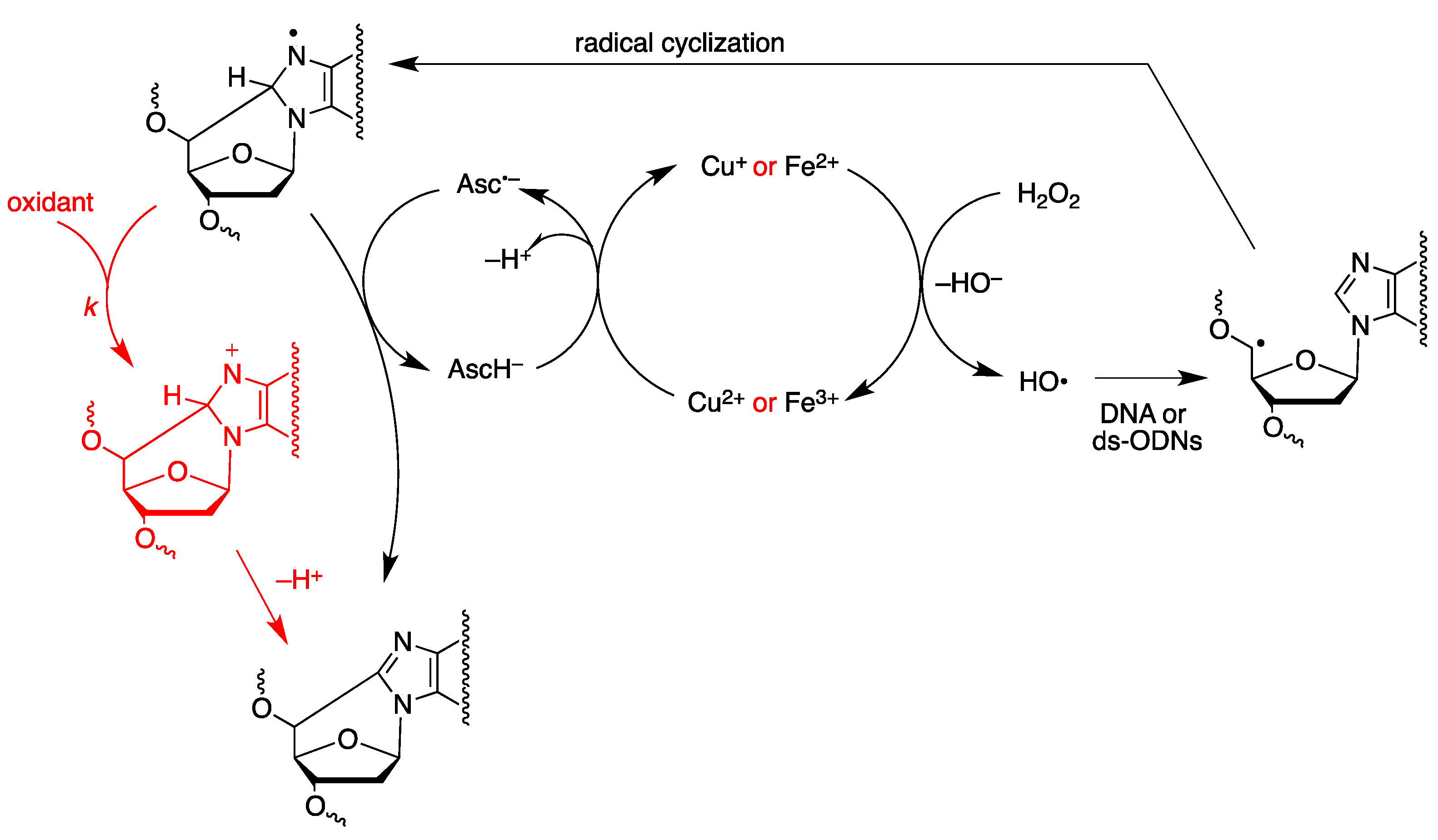 Molecules 24 03860 g015