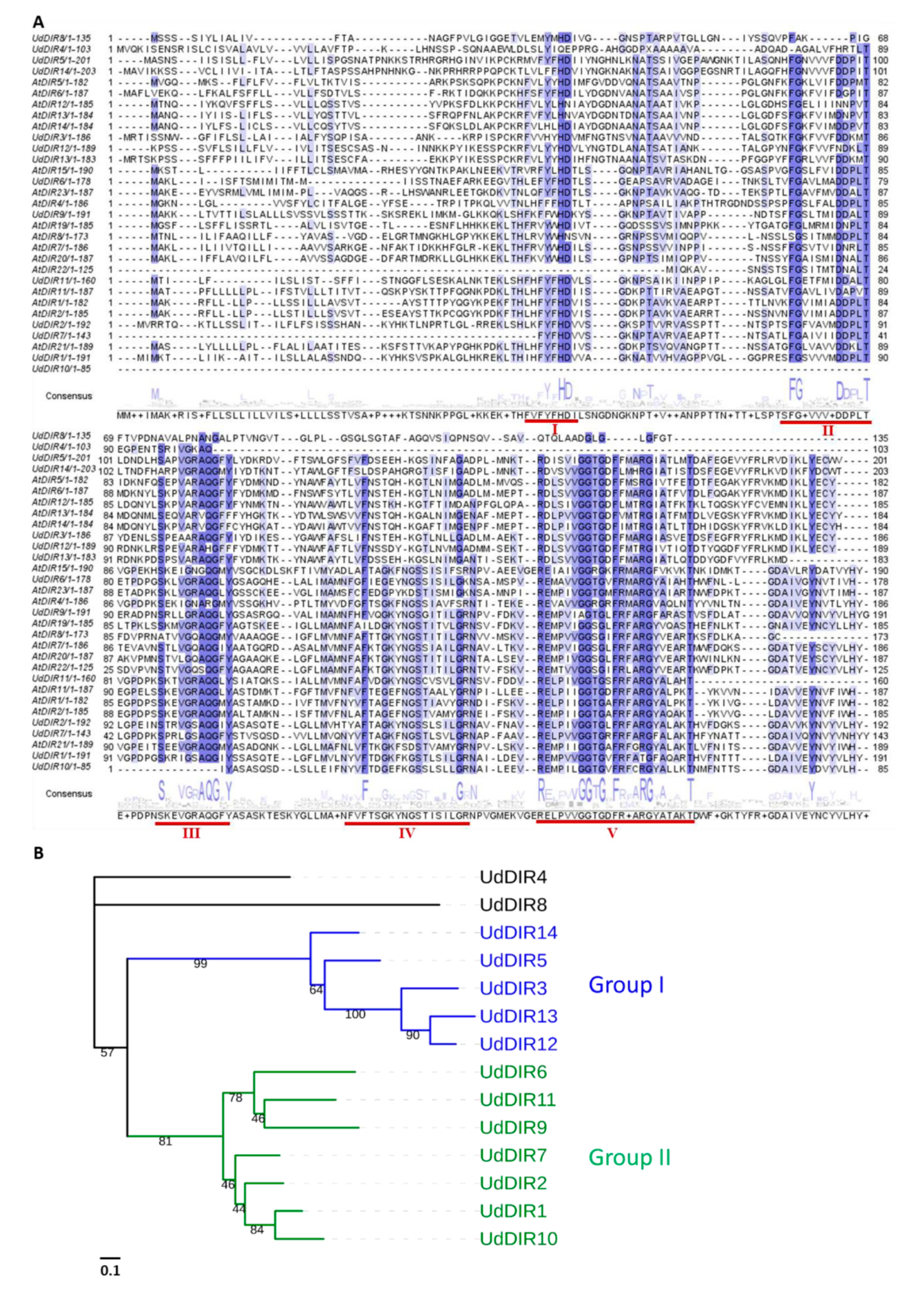 Molecules 24 03863 g001