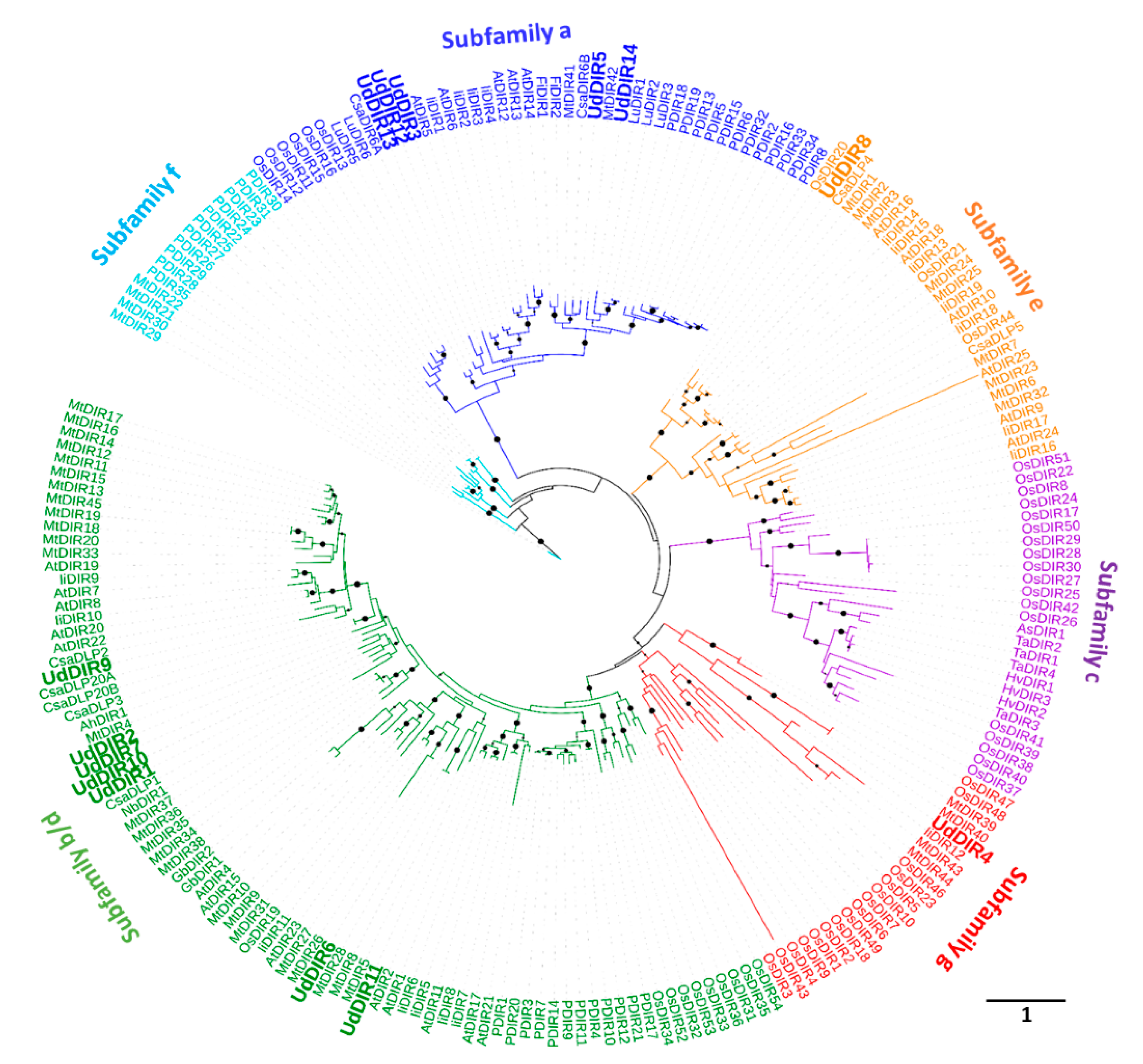 Molecules 24 03863 g002