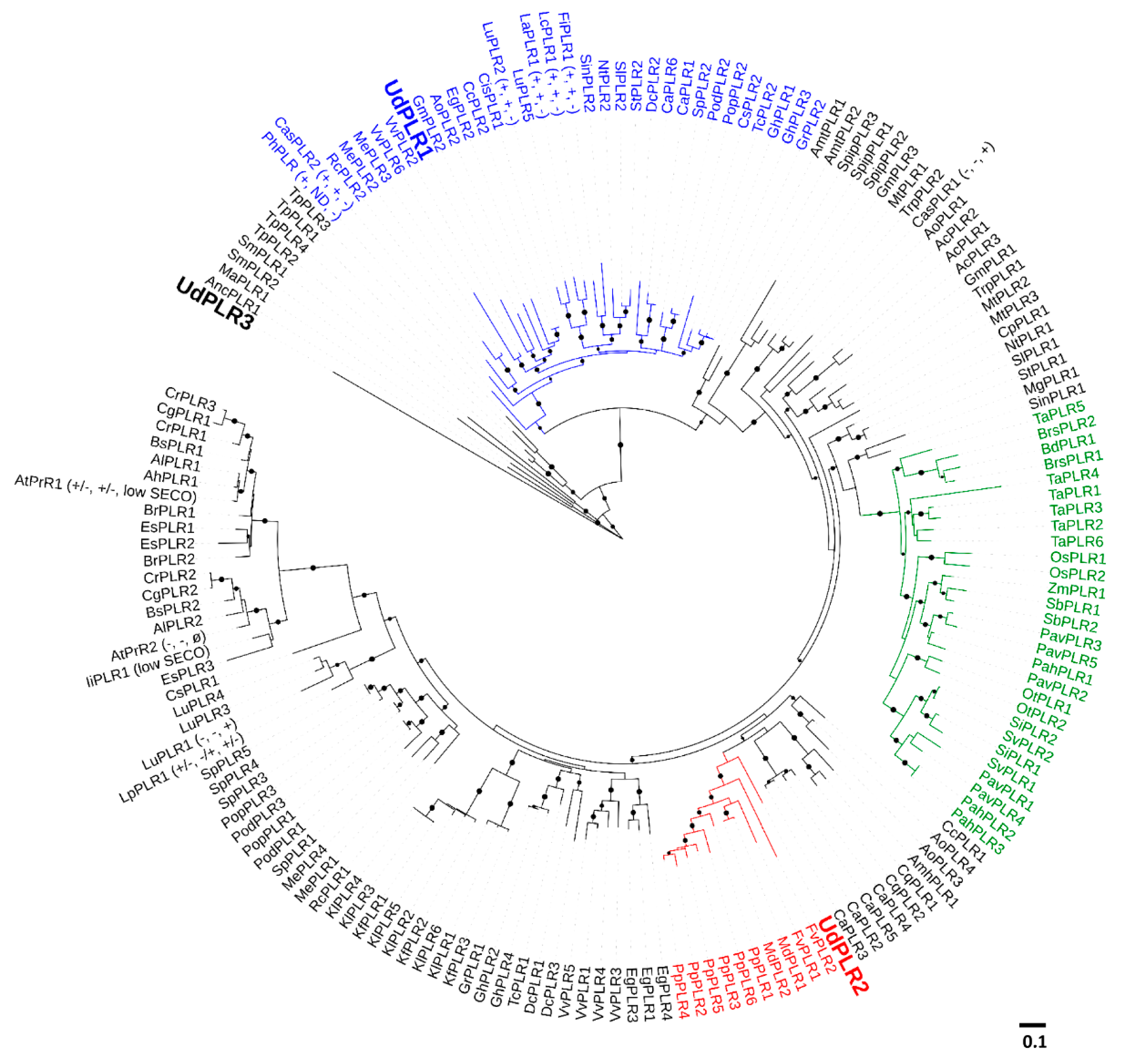 Molecules 24 03863 g003