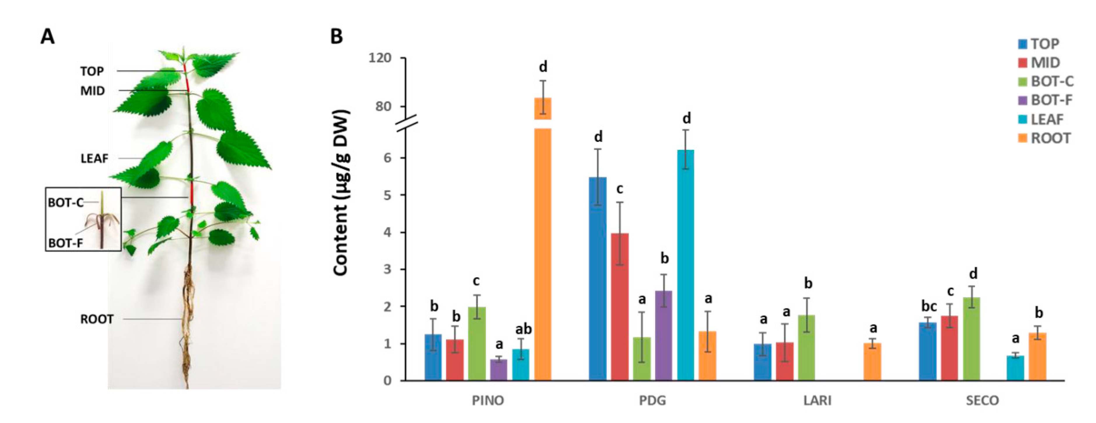 Molecules 24 03863 g005