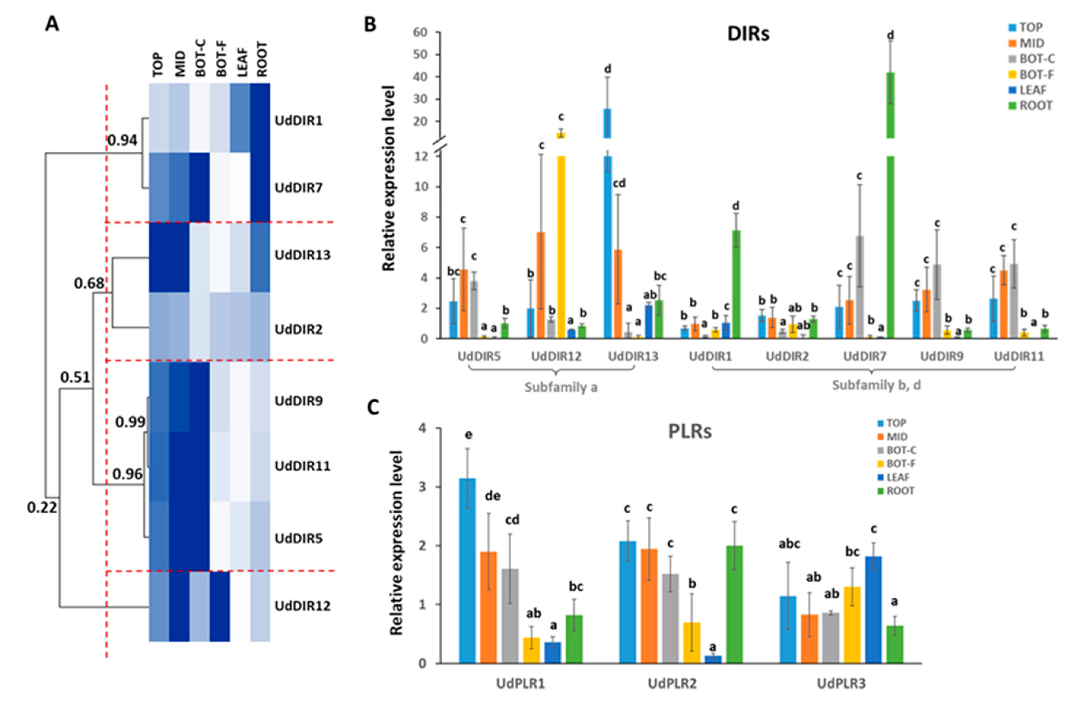 Molecules 24 03863 g006