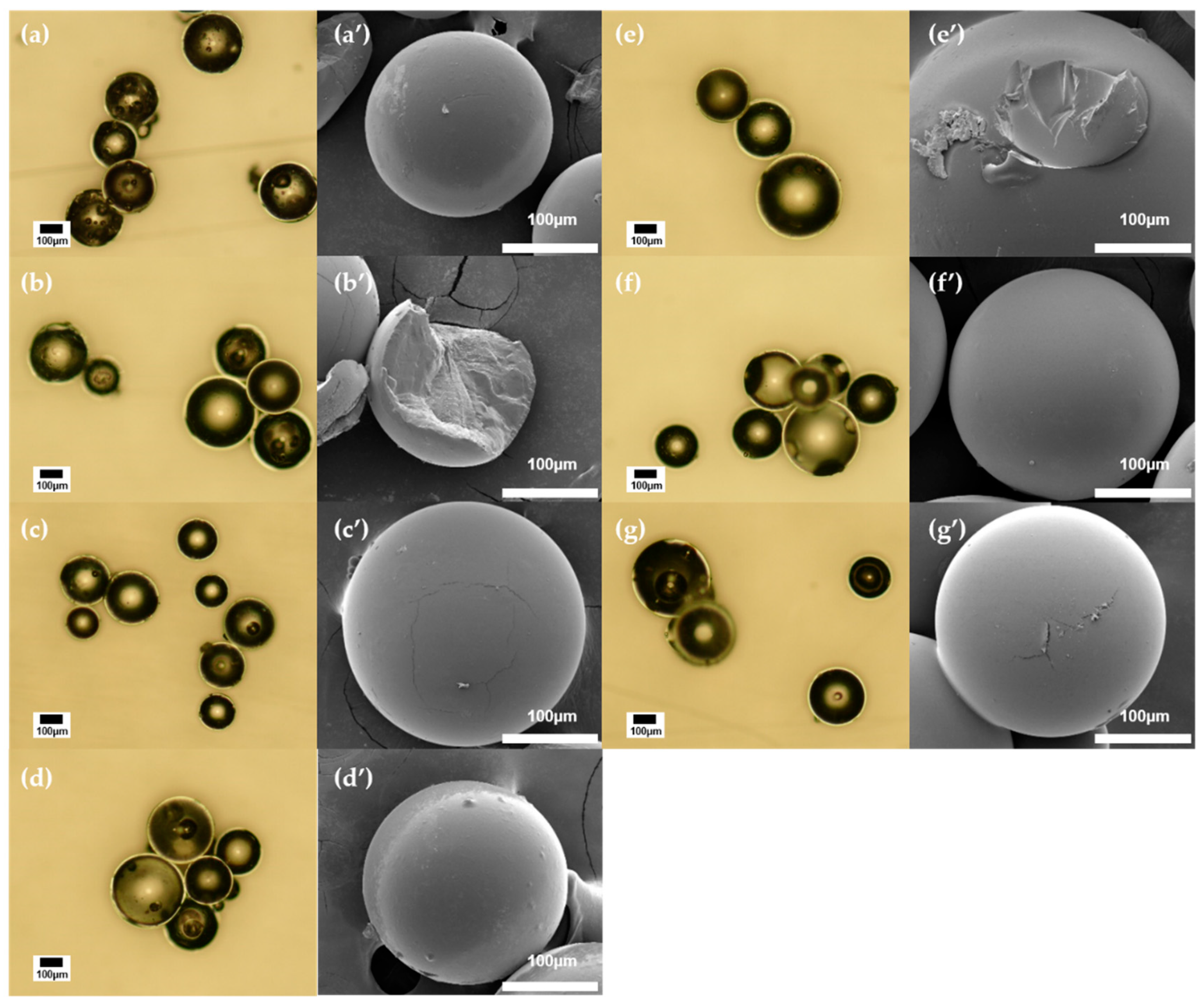 Molecules 24 03866 g001