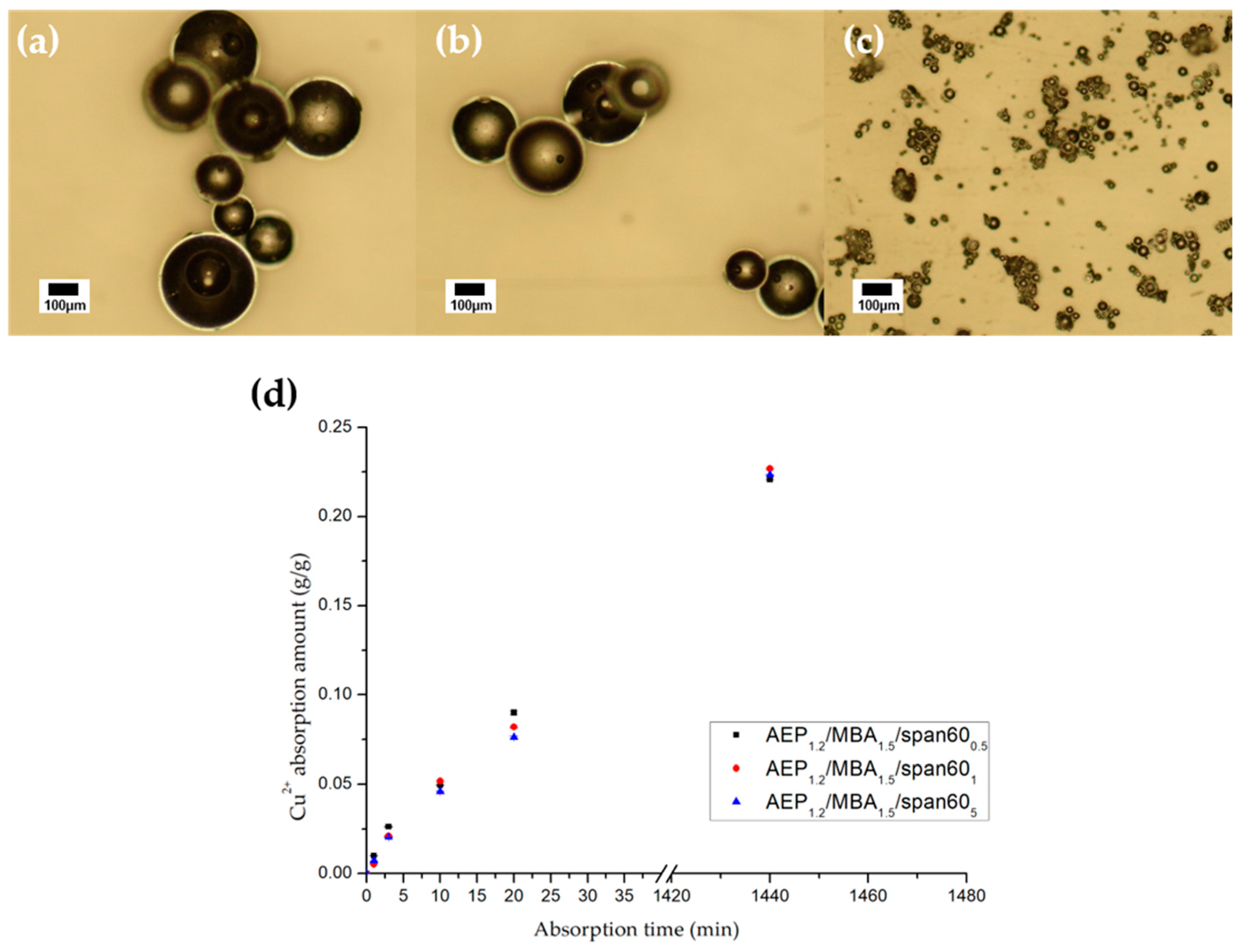 Molecules 24 03866 g003