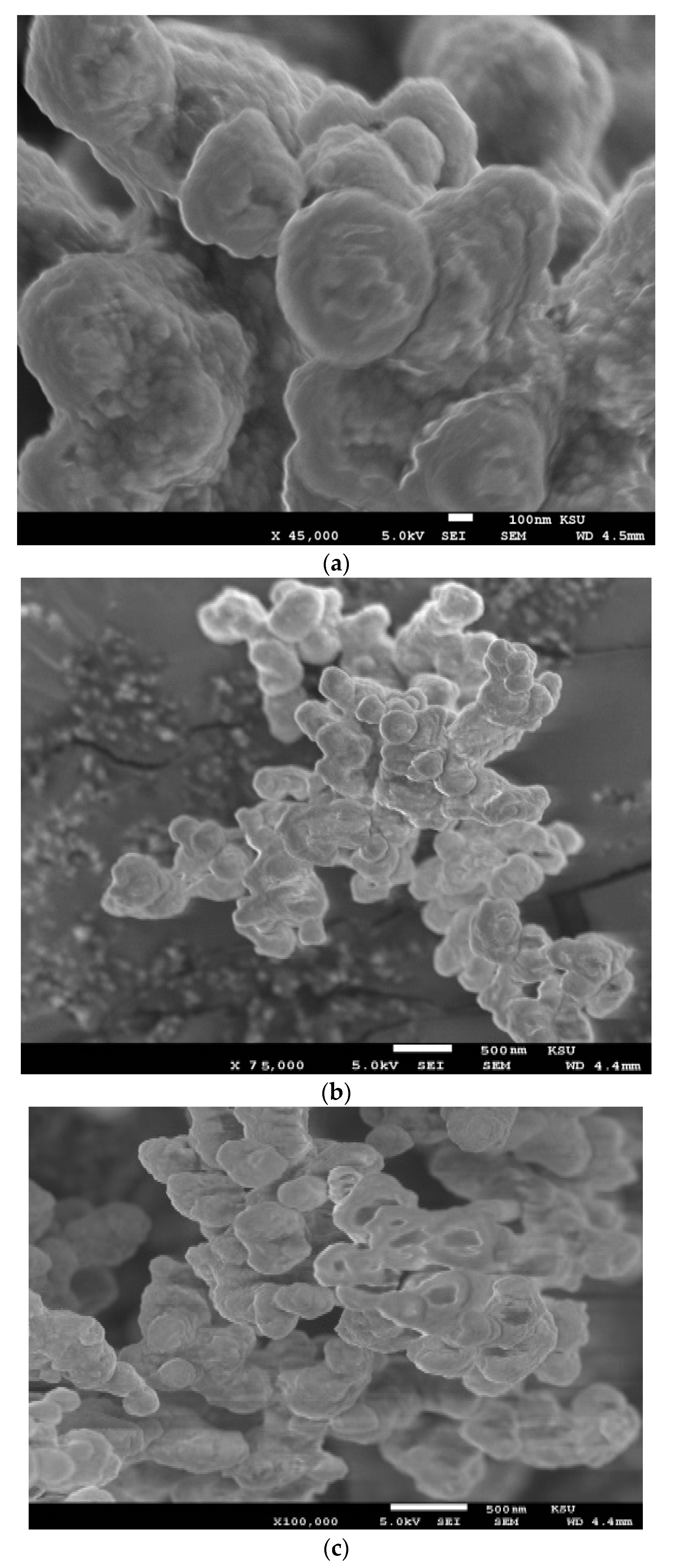 Molecules 24 03867 g002