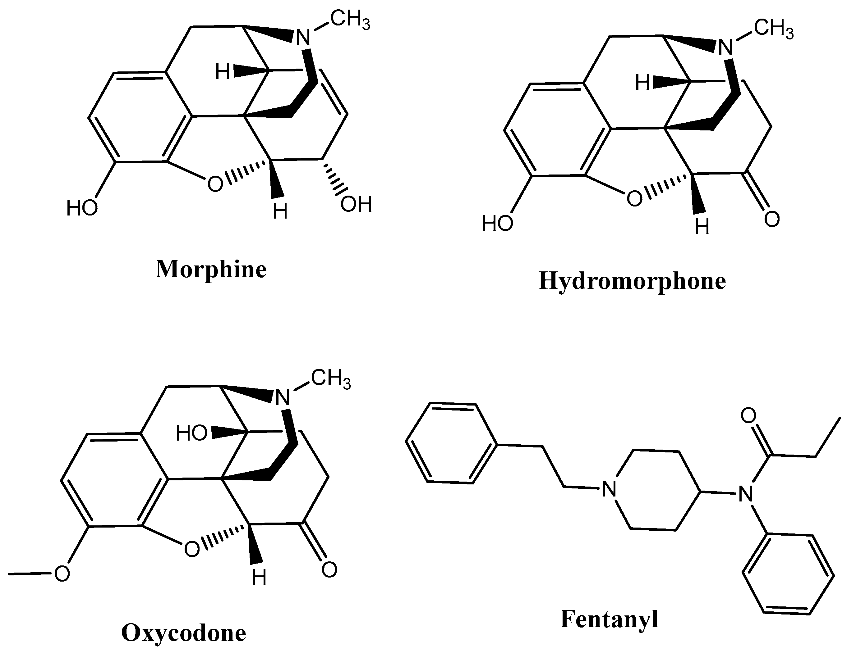 Molecules 24 03872 g001