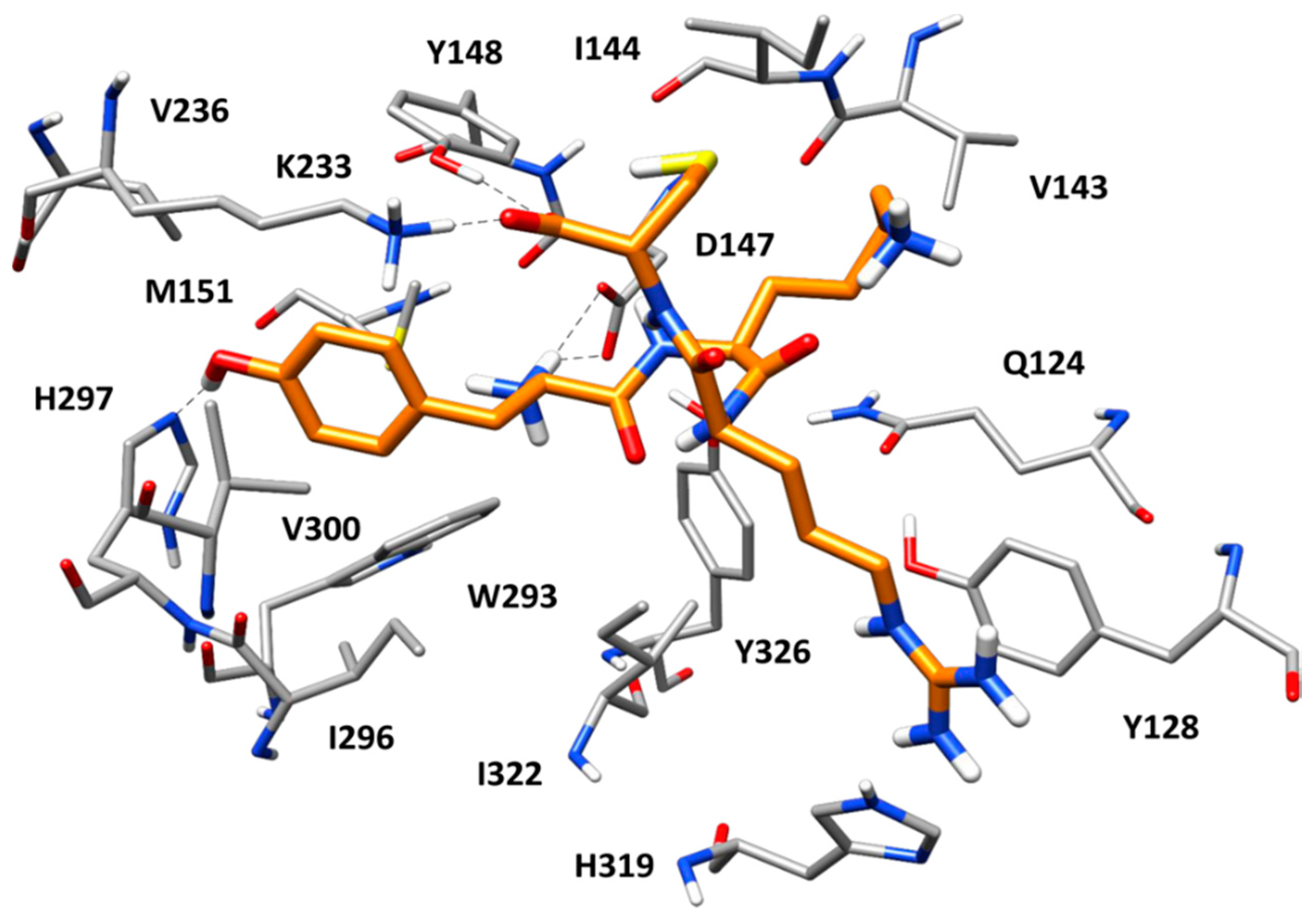Molecules 24 03872 g006