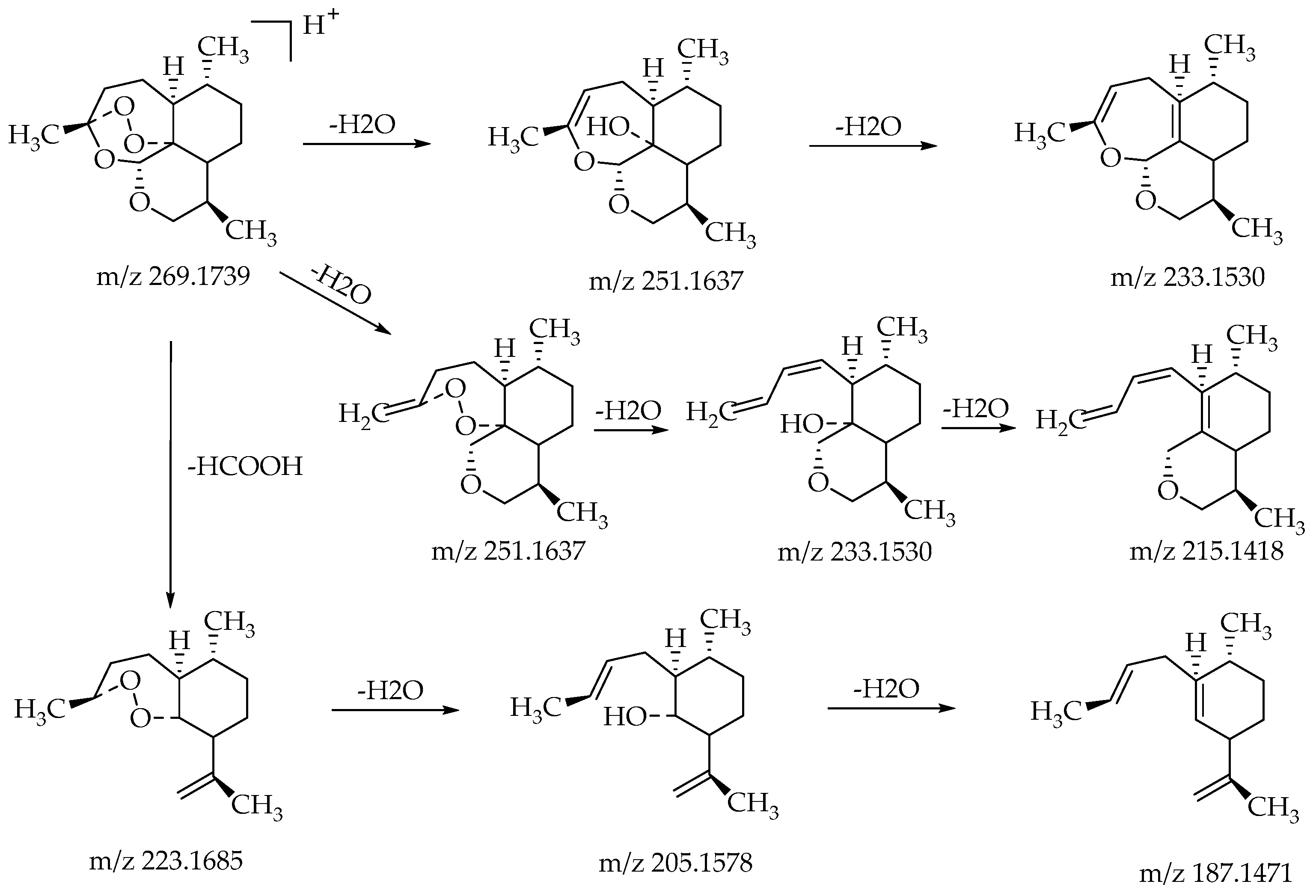 Molecules 24 03874 g003