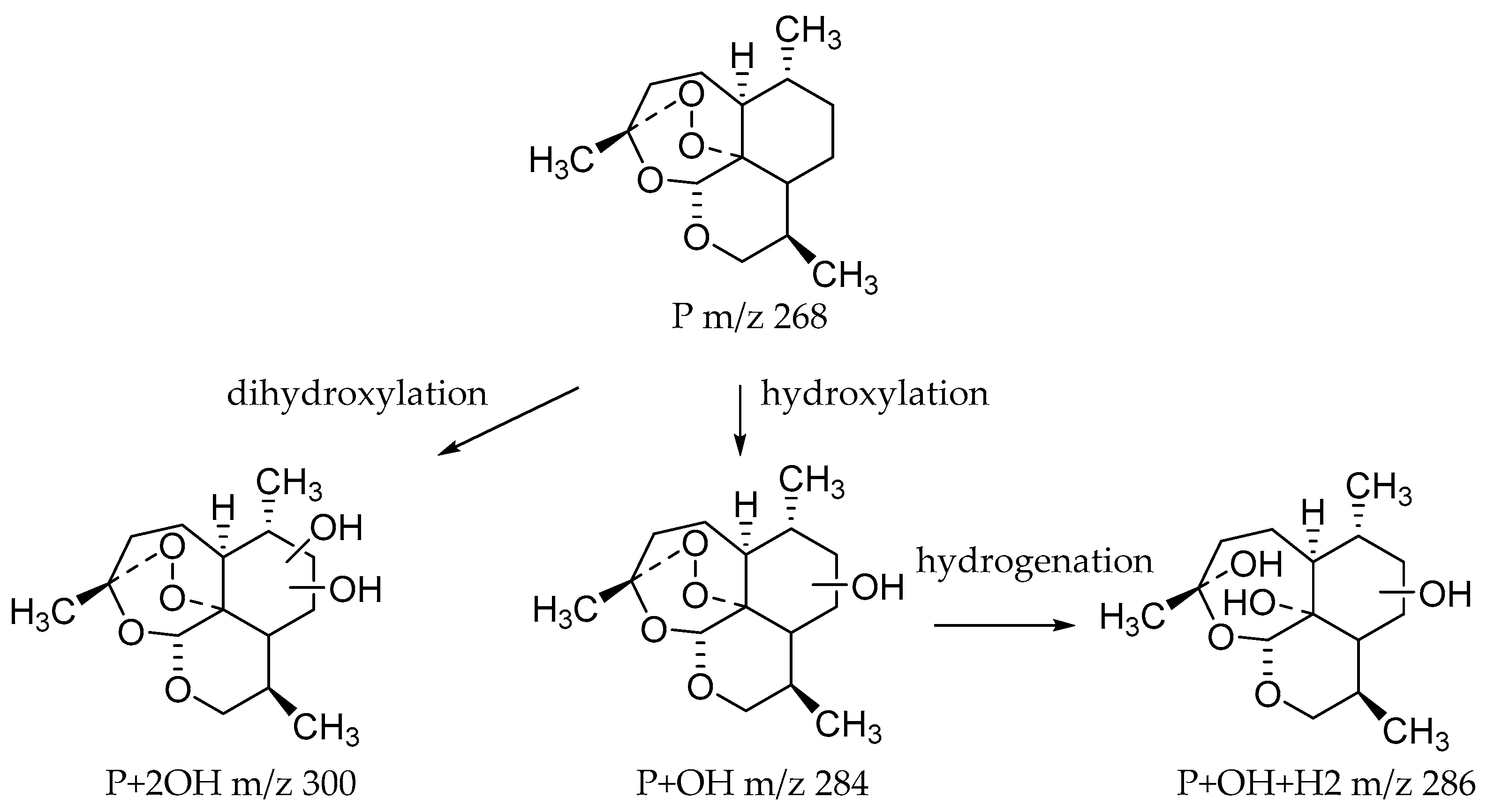 Molecules 24 03874 g004