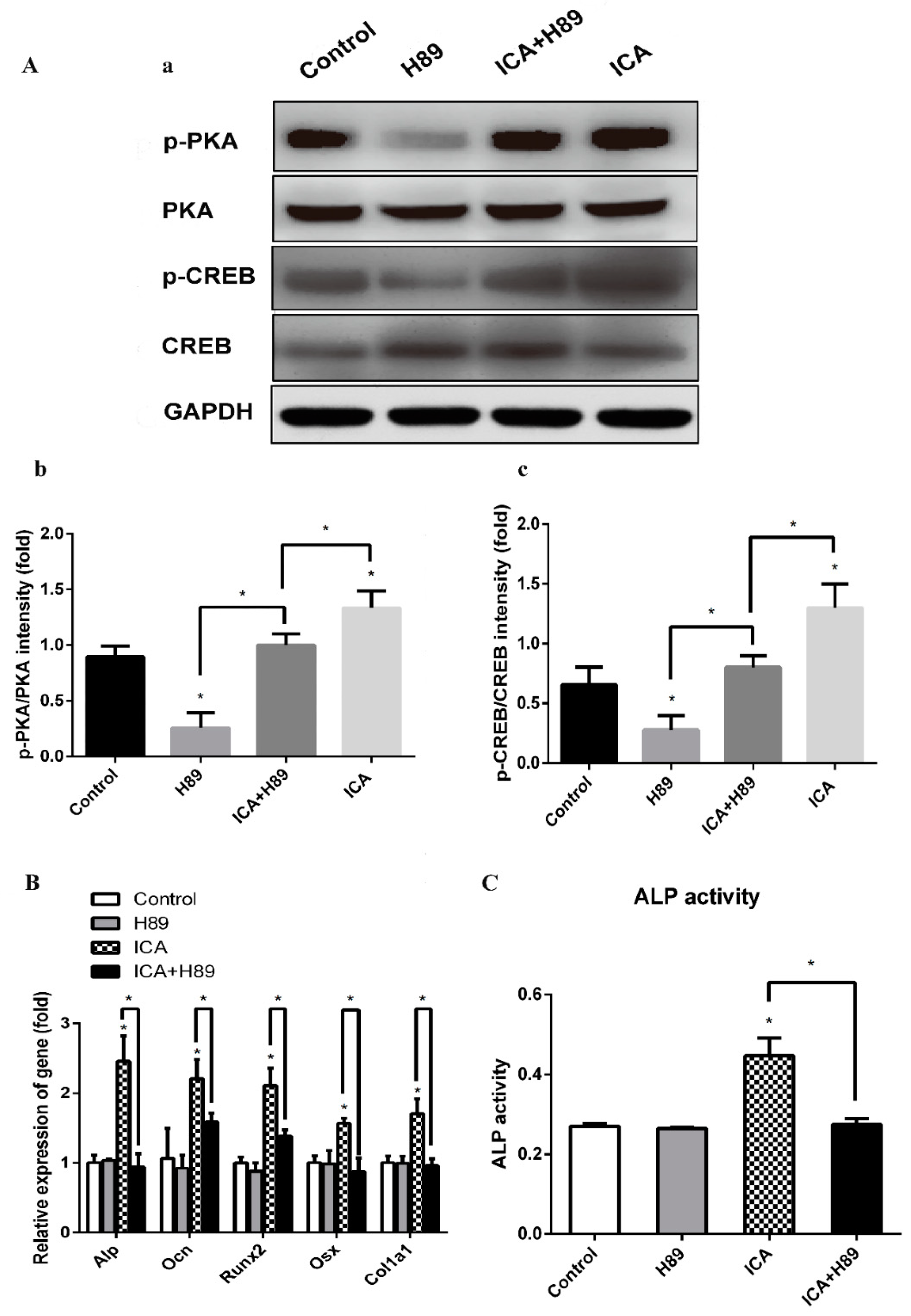 Molecules 24 03875 g006