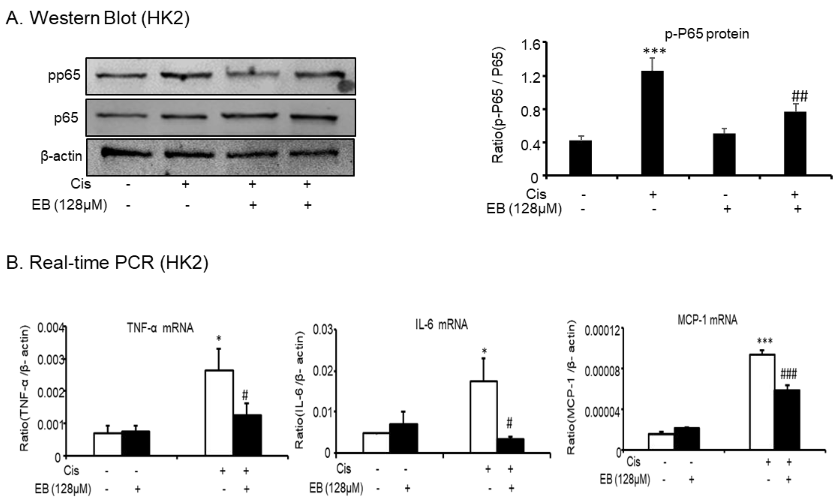 Molecules 24 03876 g002 Molecules 24 03876 g002