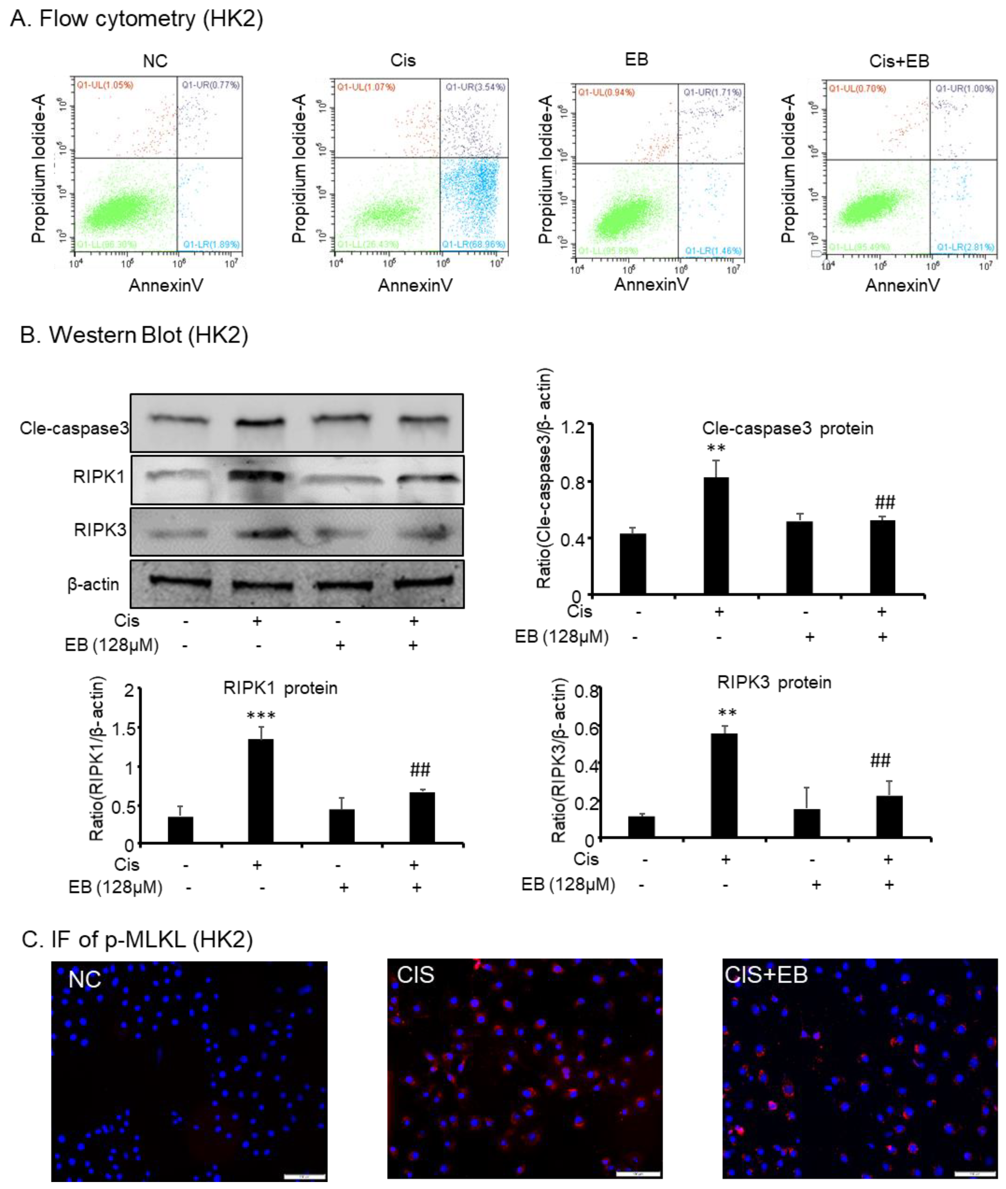 Molecules 24 03876 g003 Molecules 24 03876 g003