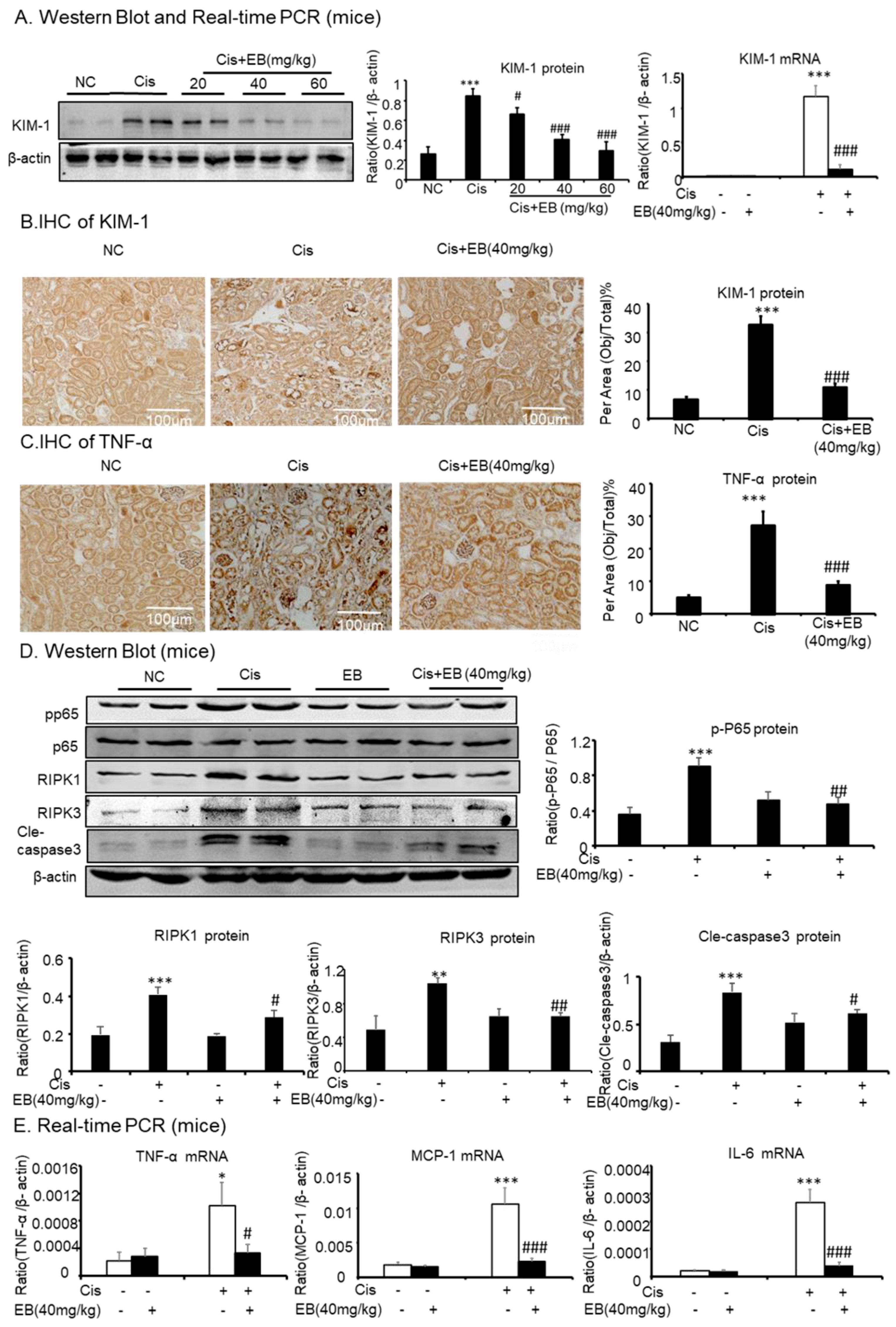 Molecules 24 03876 g005 Molecules 24 03876 g005