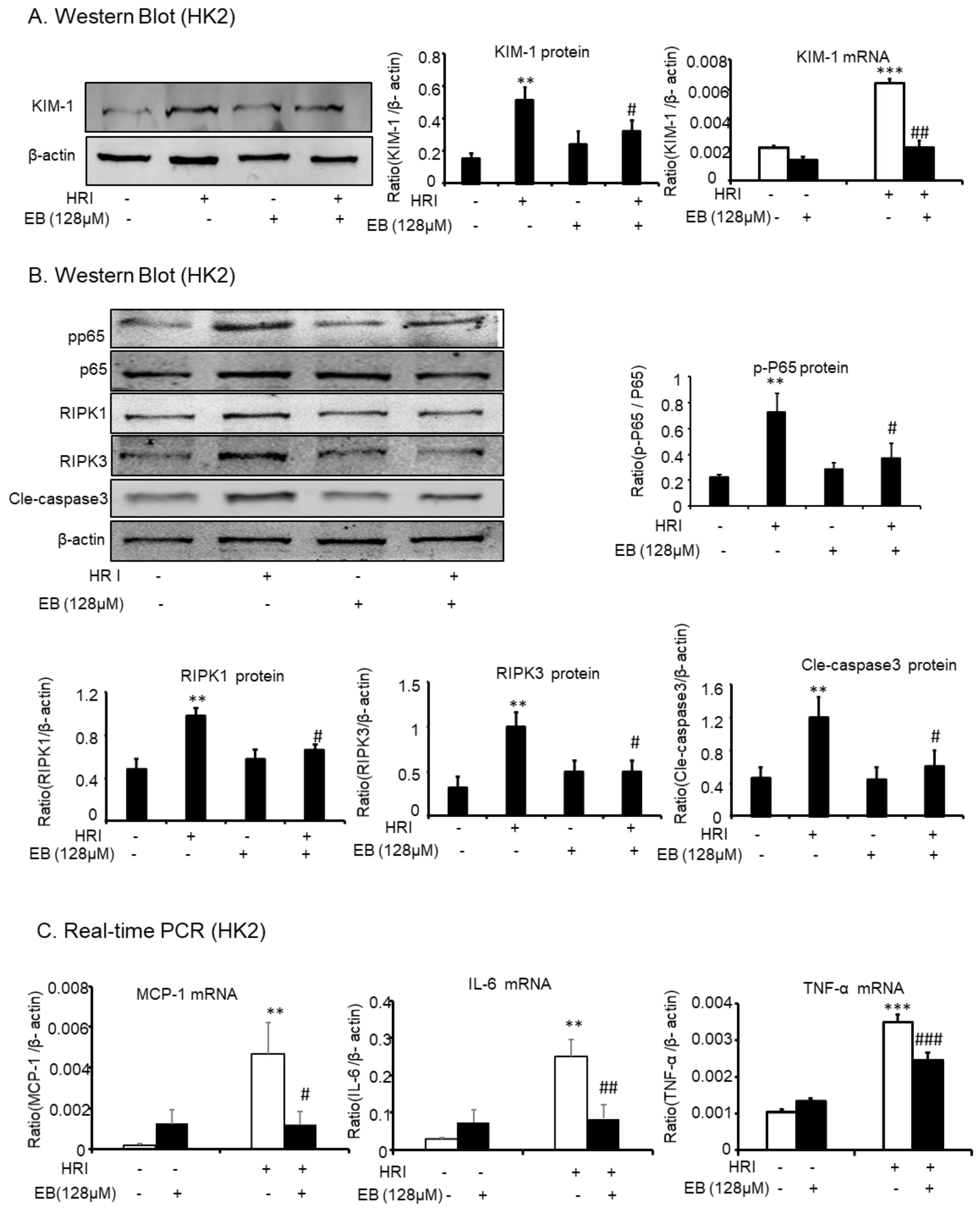 Molecules 24 03876 g006 Molecules 24 03876 g006