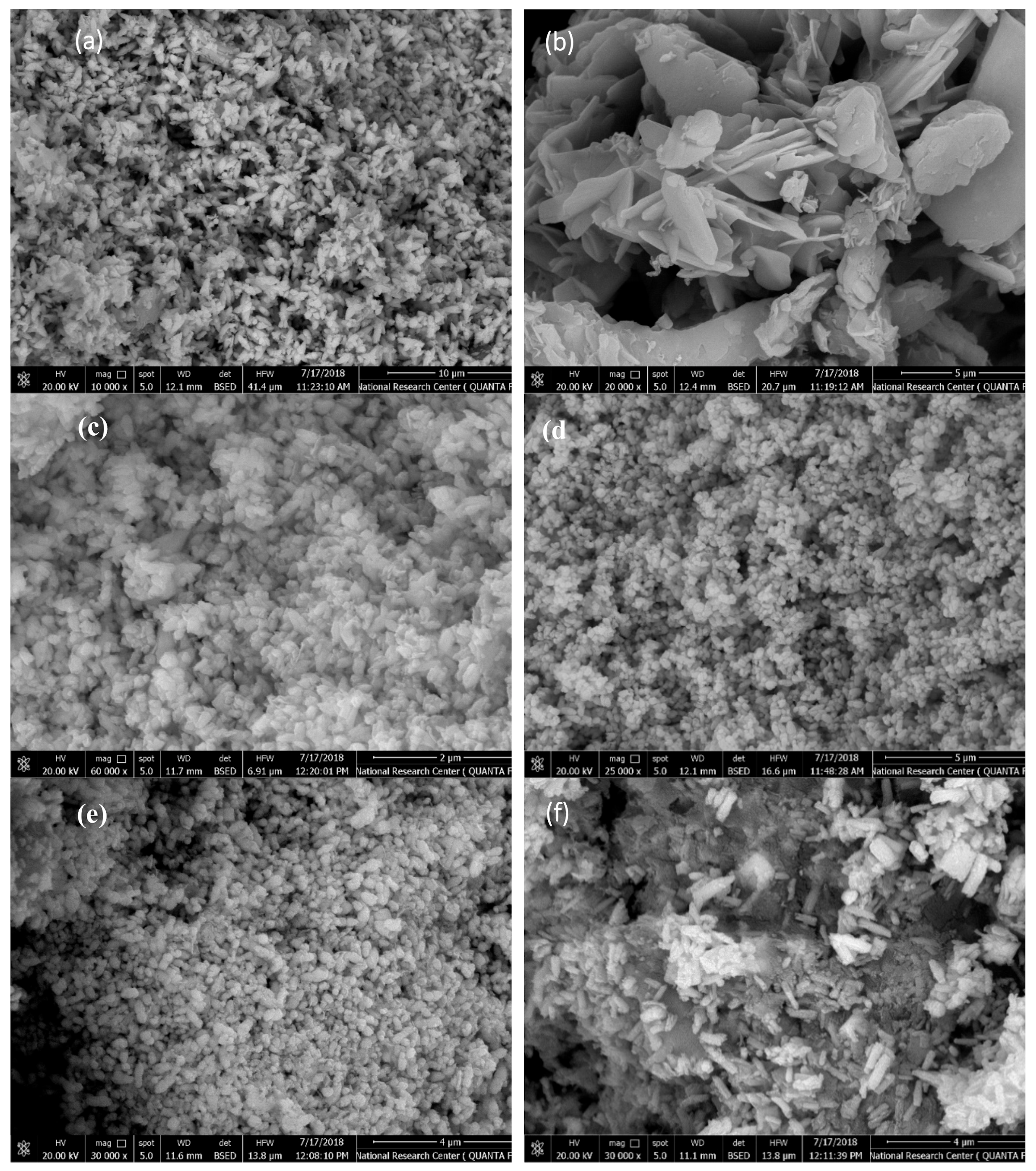 Molecules 24 03884 g002a