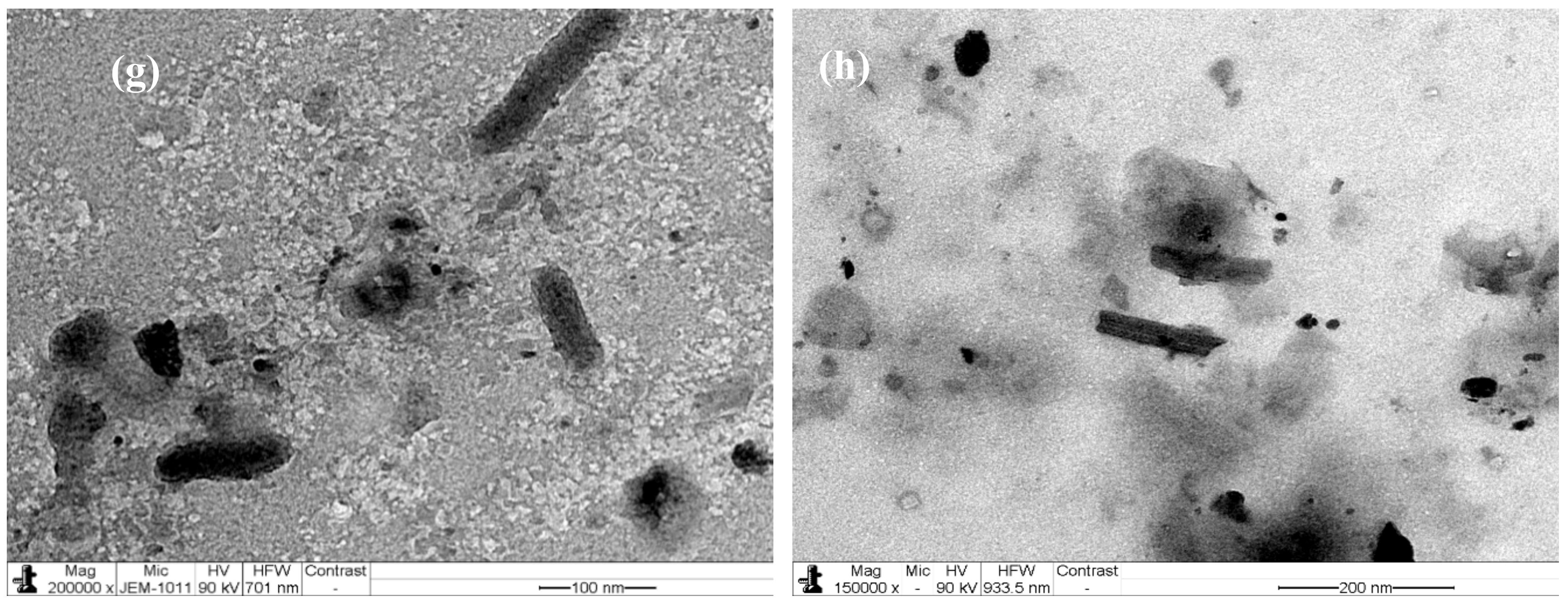 Molecules 24 03884 g002b