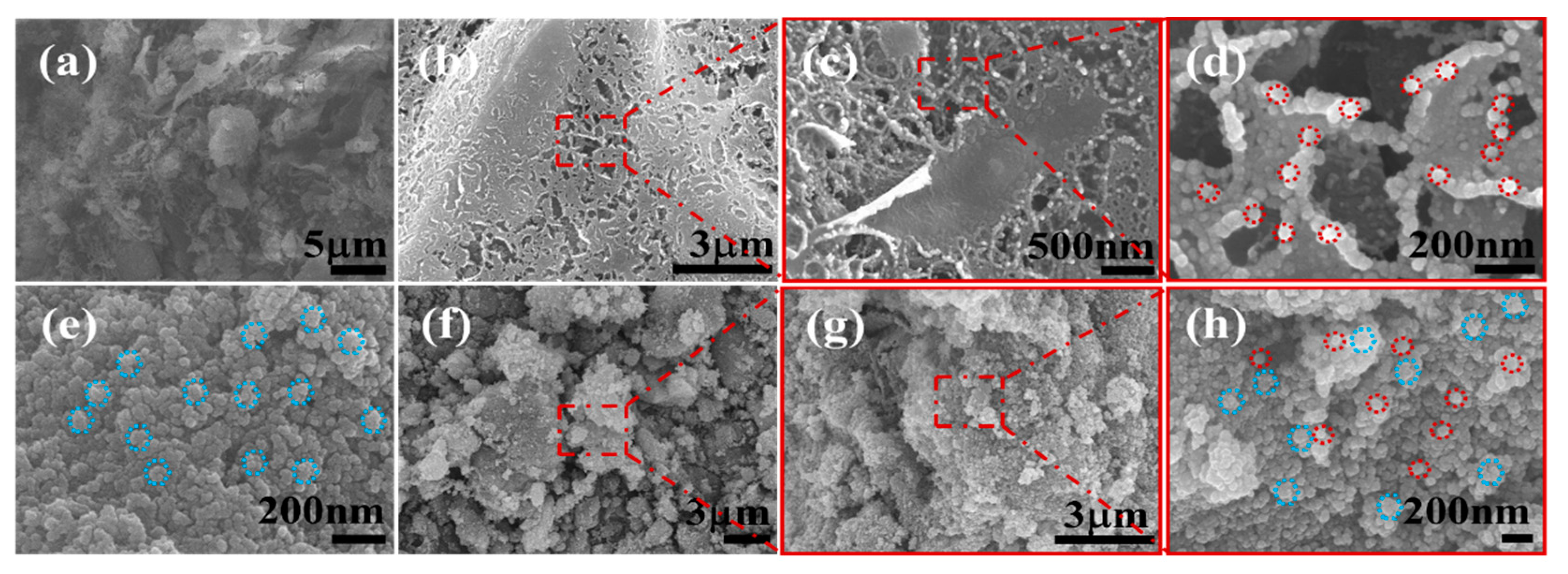 Molecules 24 03888 g001 Molecules 24 03888 g001