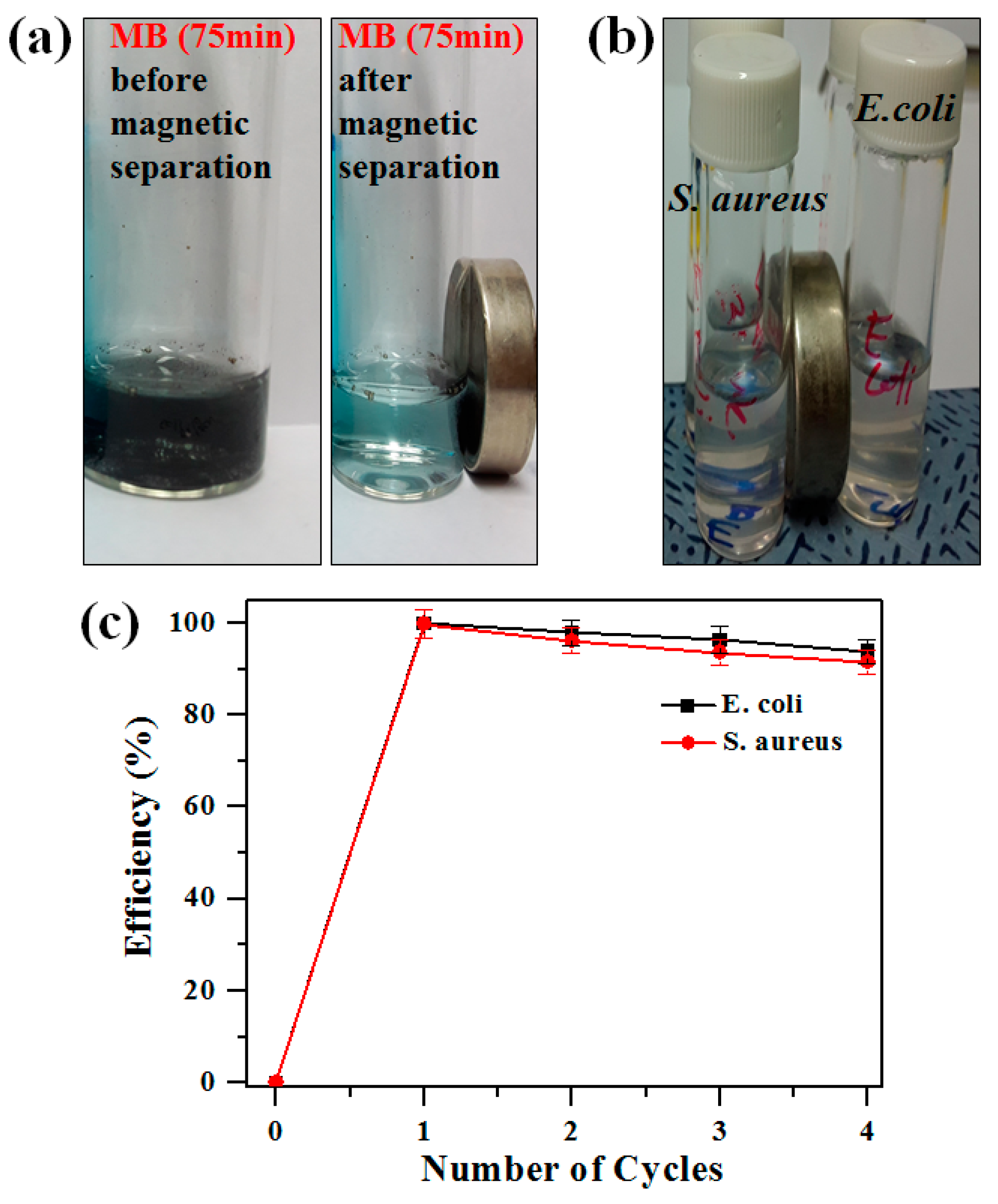 Molecules 24 03888 g007 Molecules 24 03888 g007
