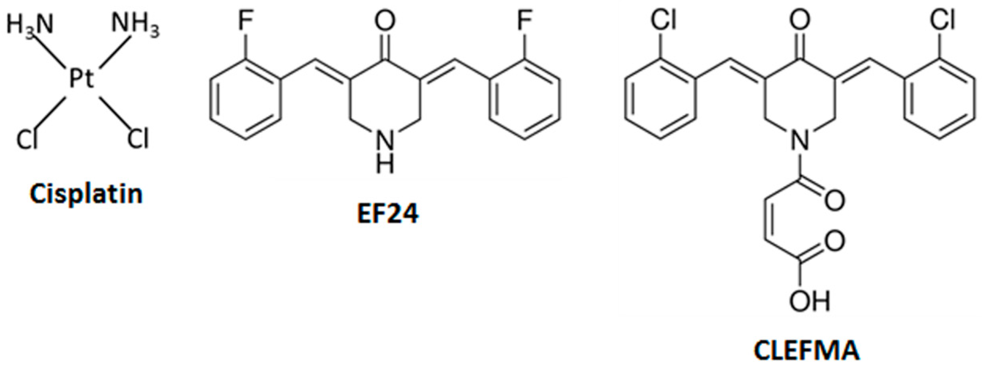 Molecules 24 03889 g001