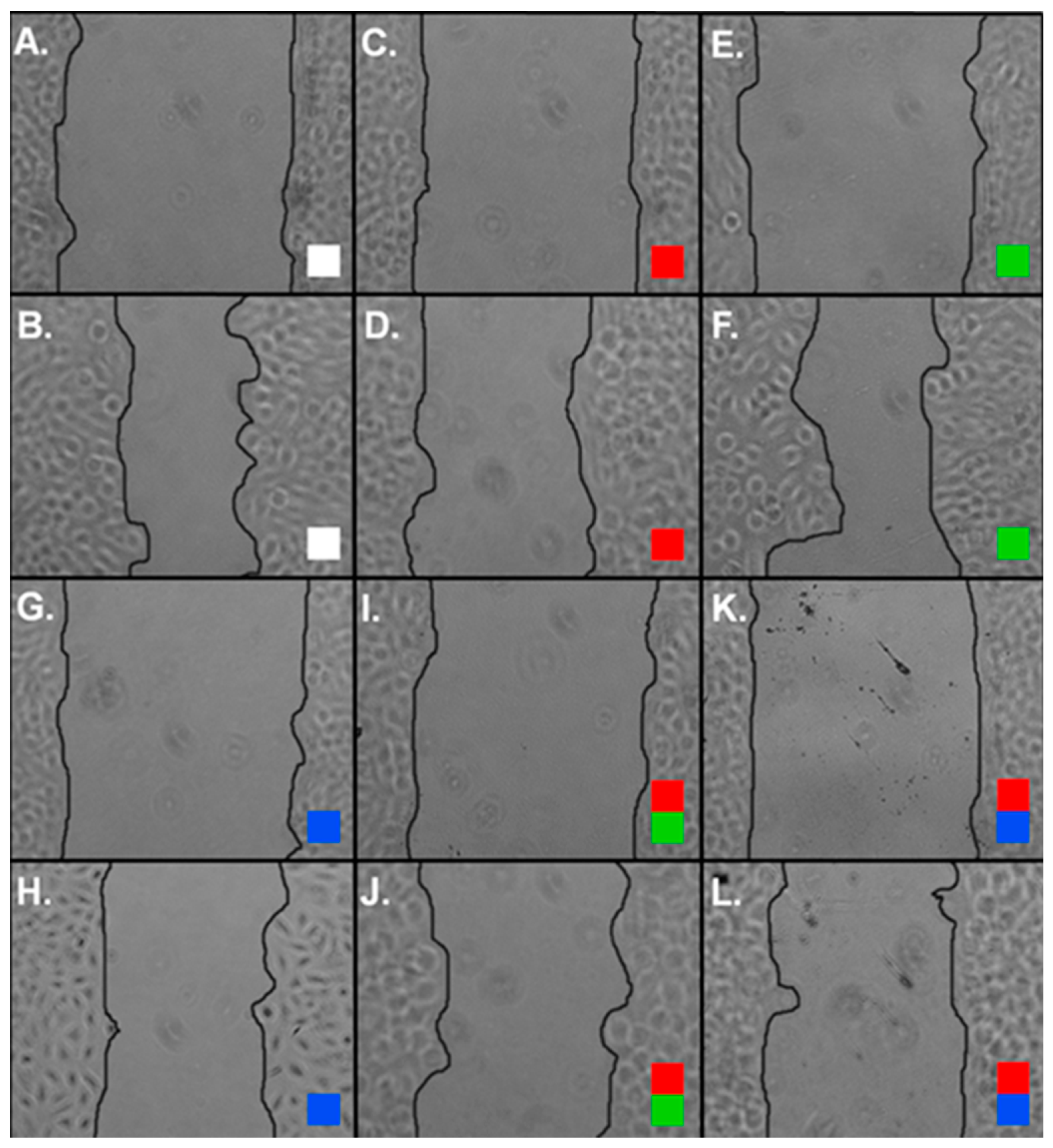 Molecules 24 03889 g004